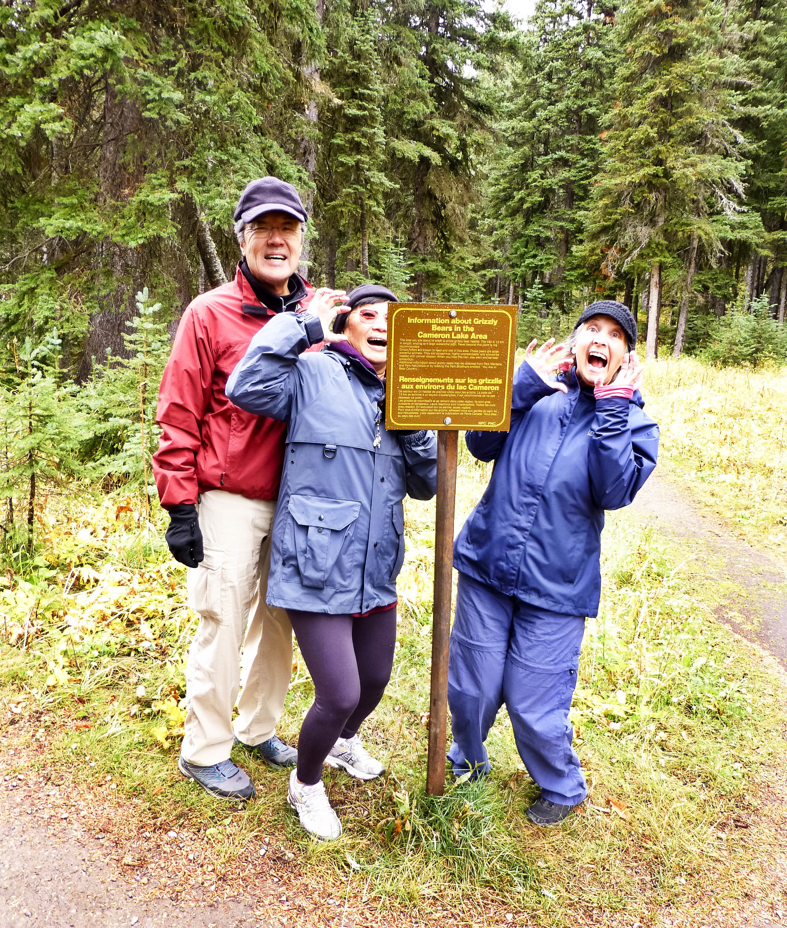 Grizzly bear warning