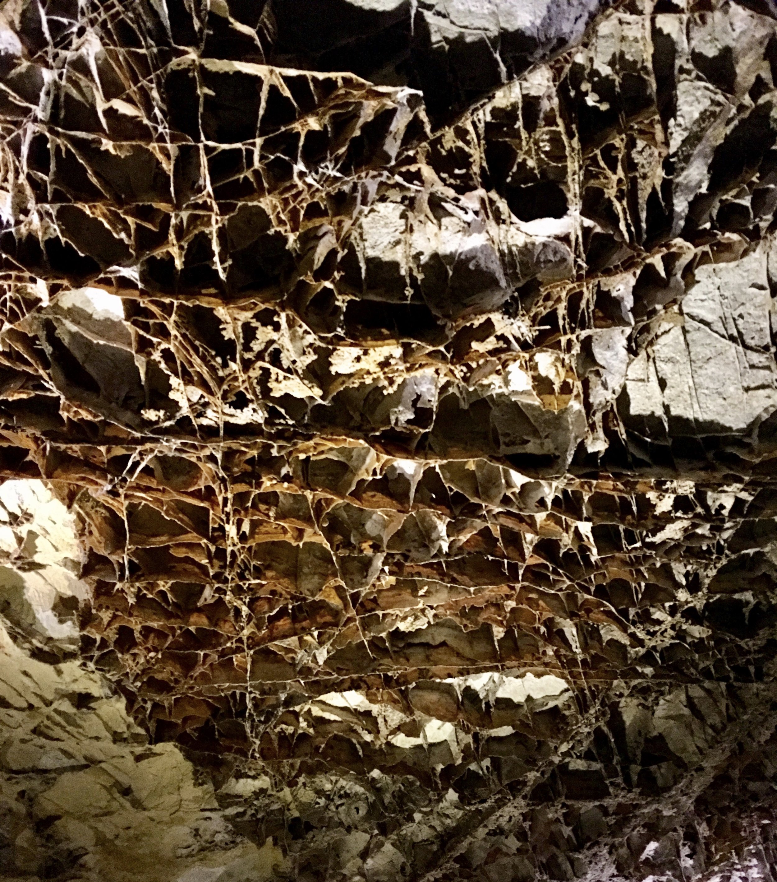 "Boxwork" formation on the ceiling of the cave
