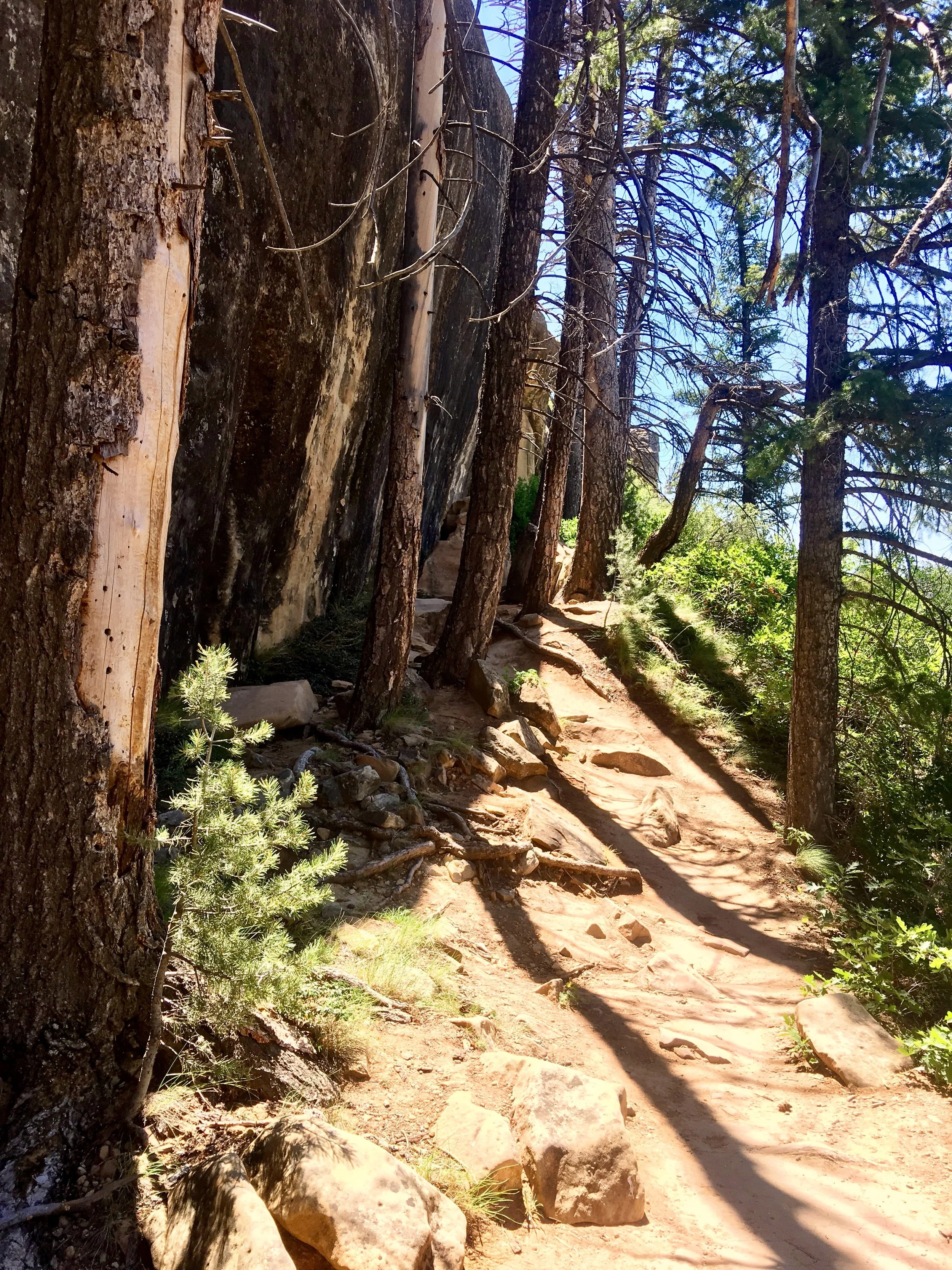 The Trail to Petroglyph Point