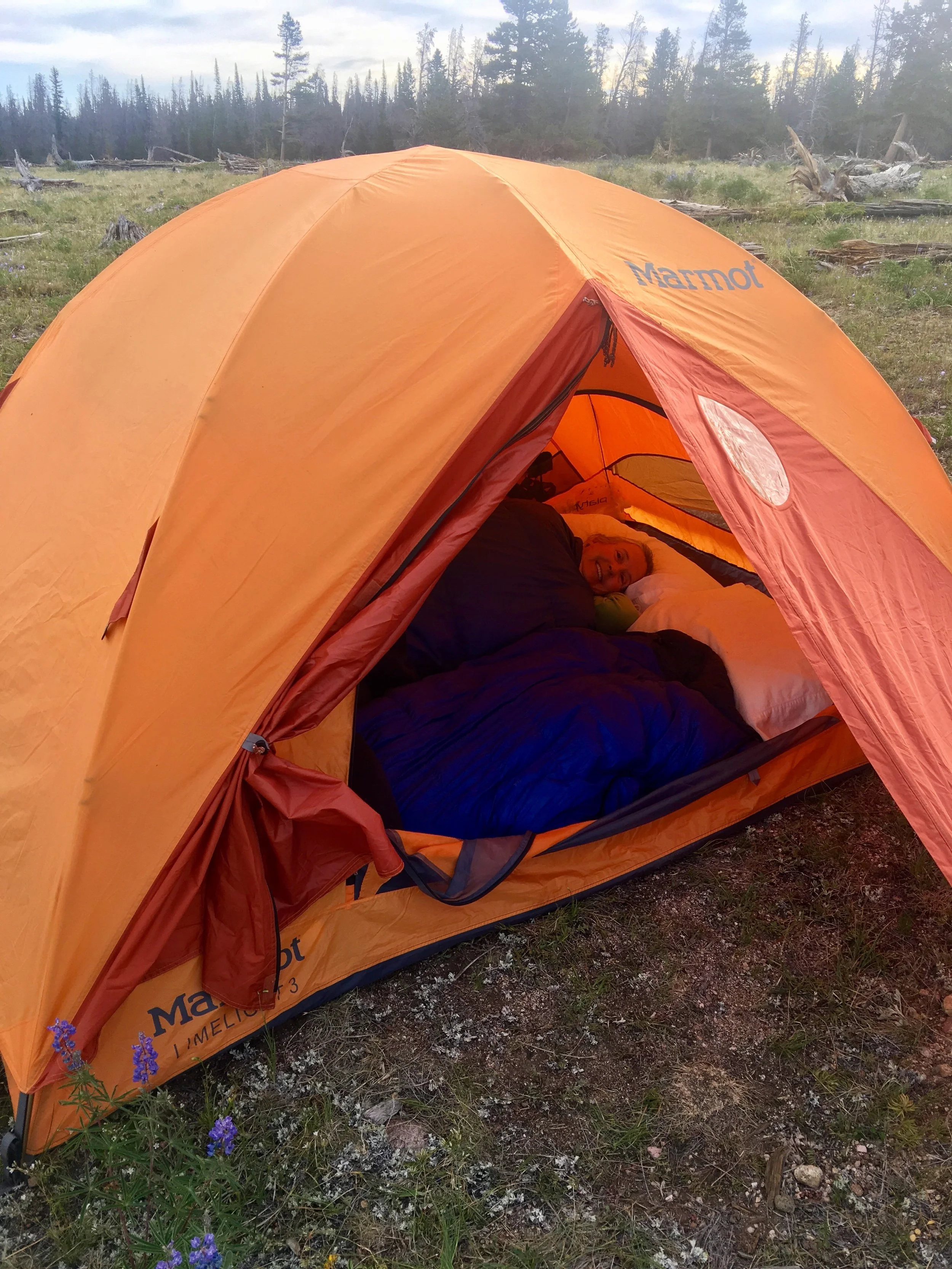 Sally snuggled in the tent