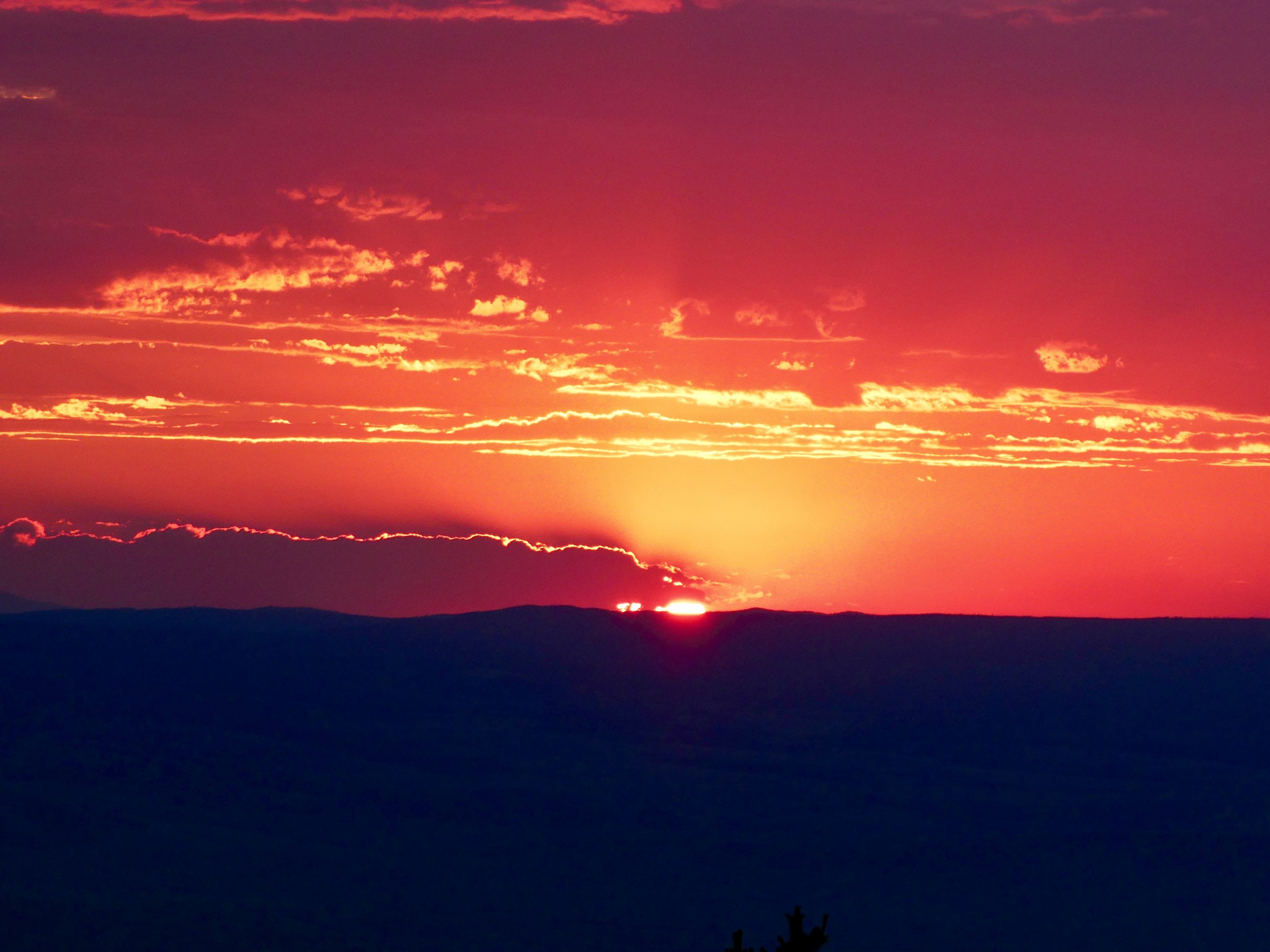 A Beautiful sunset