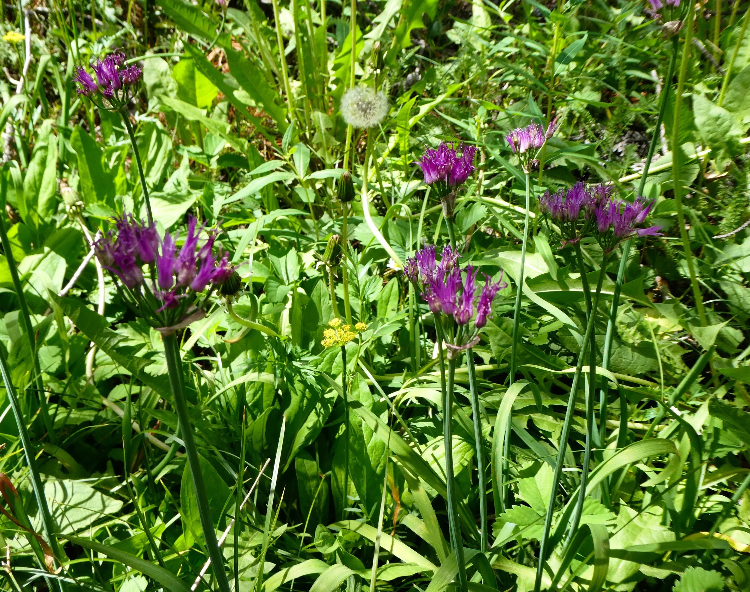 Unidentified?