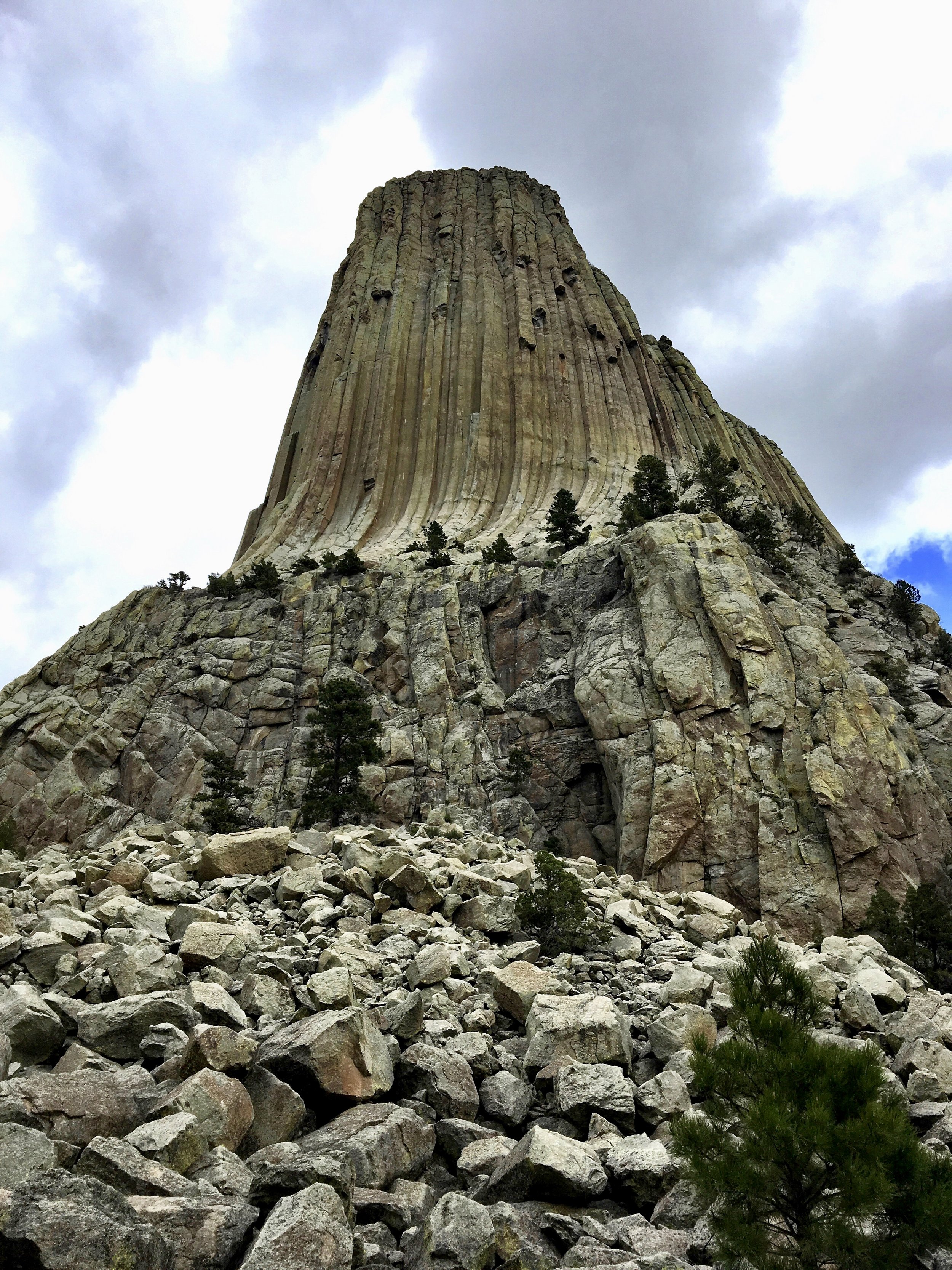 Devil's Tower as seen from the Tower Trail