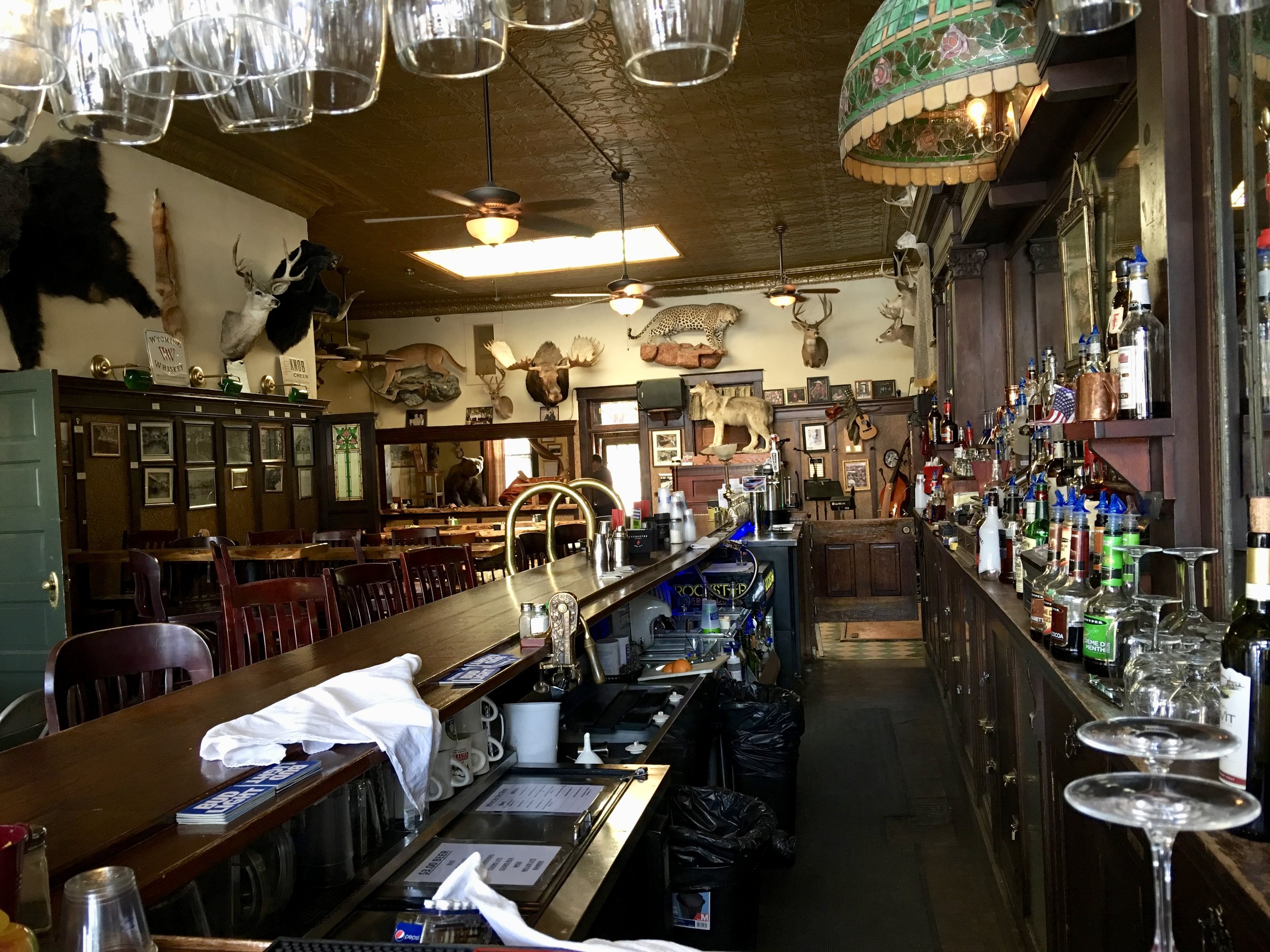 The Occidental saloon, featuring many mounted game animals.