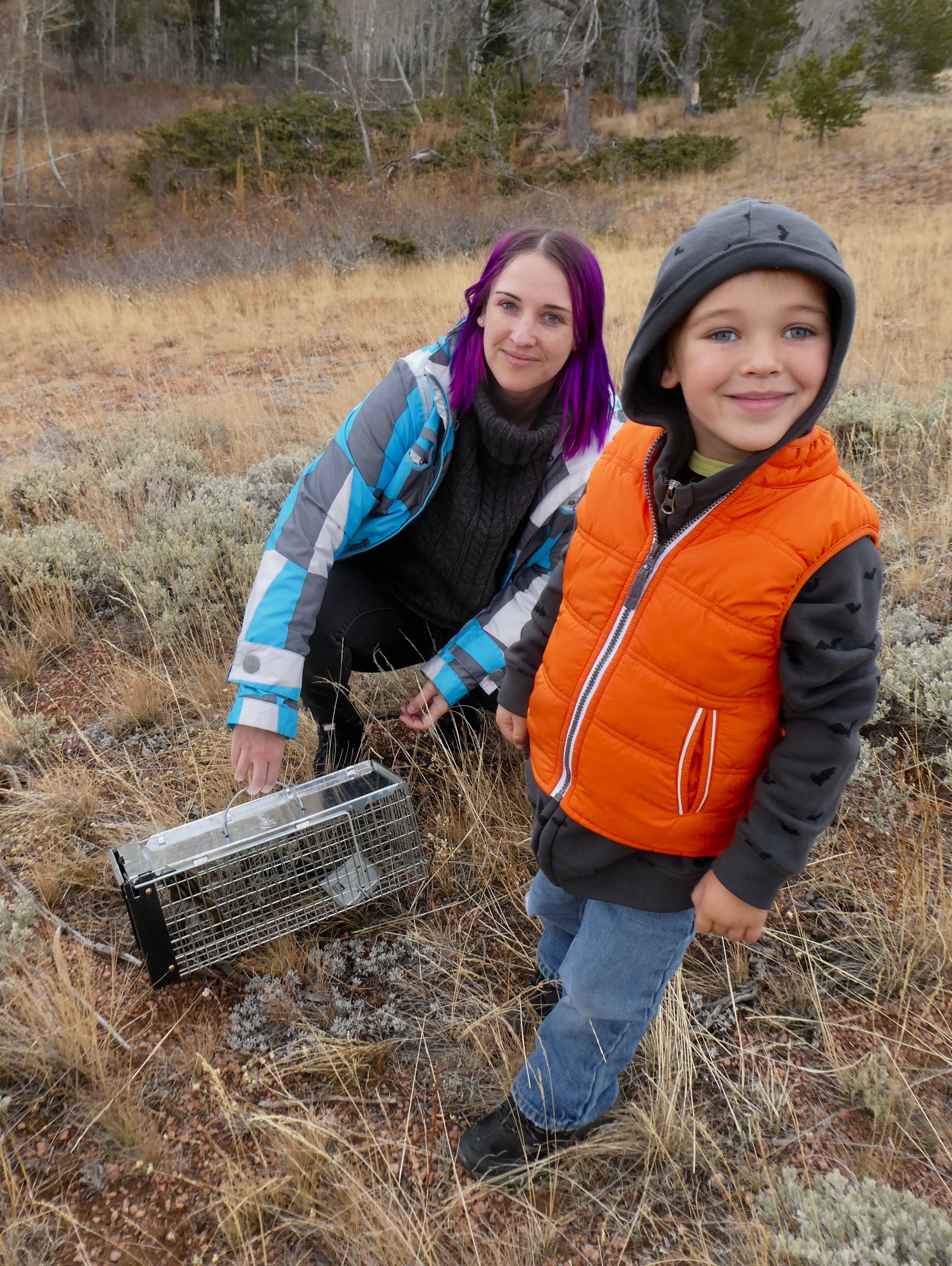 Harold the ground squirrel, caught and released