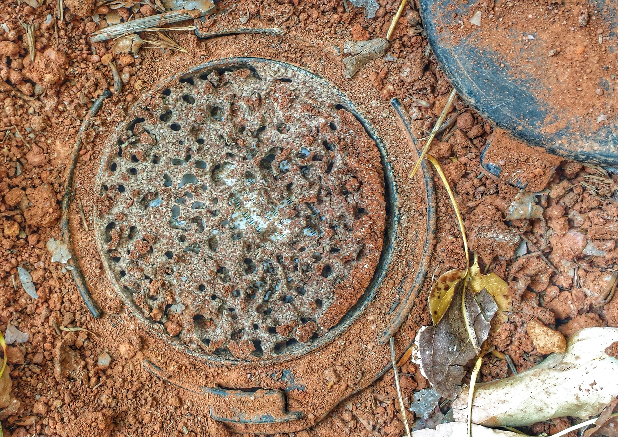 A Termite bait station with bait being consumed.