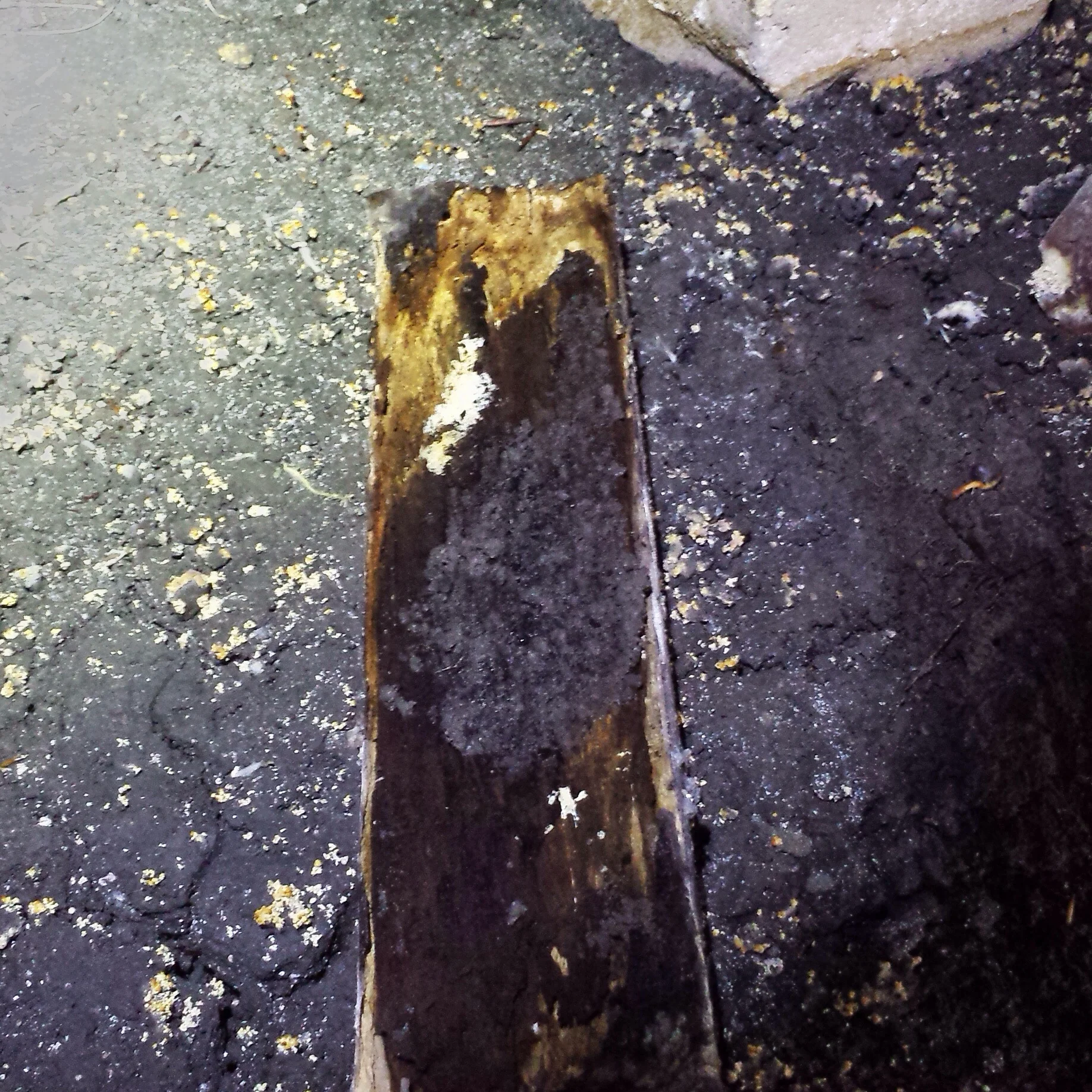 Wood rotting due to extremely high constant moisture in the subfloor.