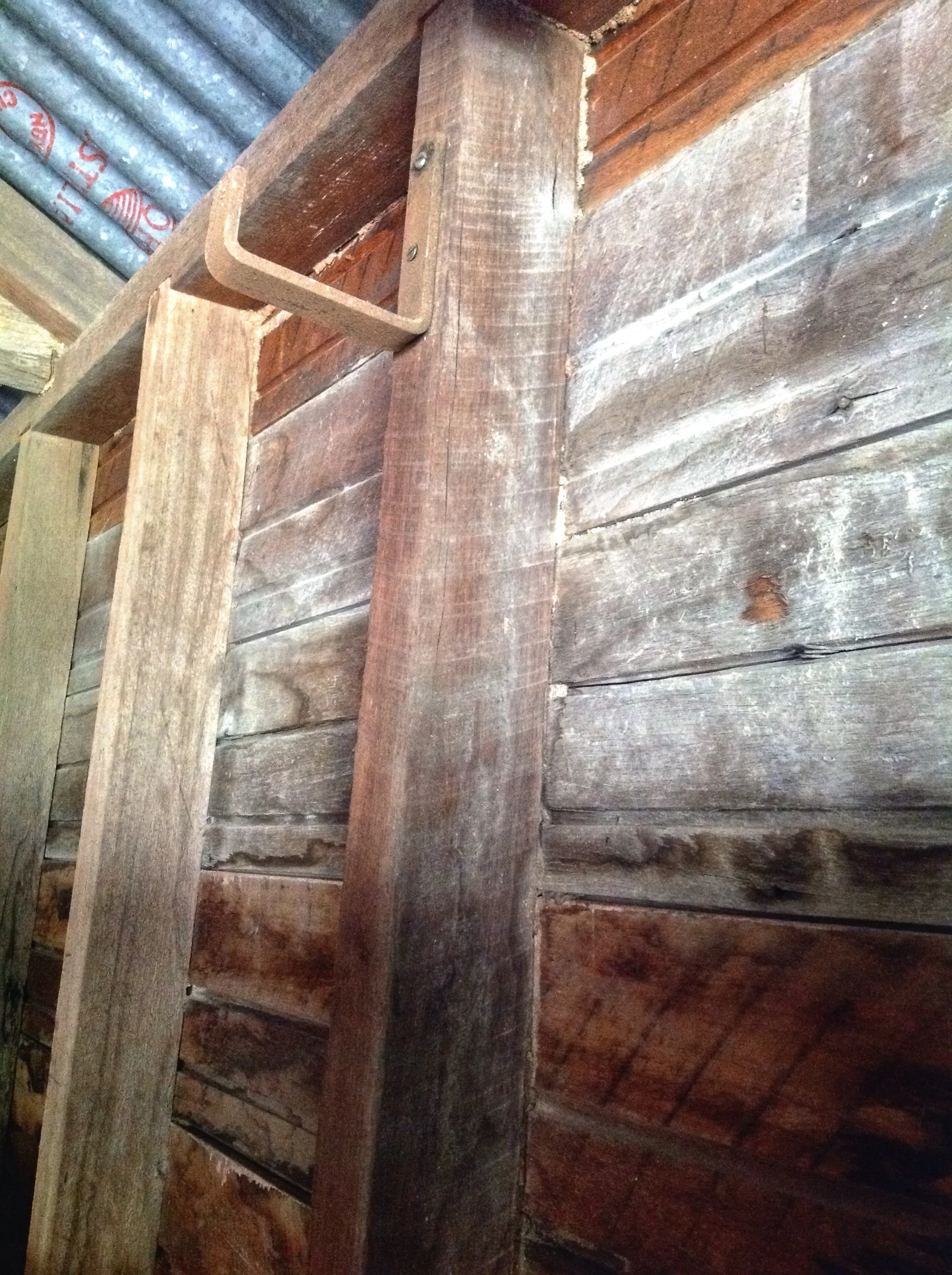 Evidence of termite activity is clearly visible due to the mudding behind the studs and top plates of this cottage. 