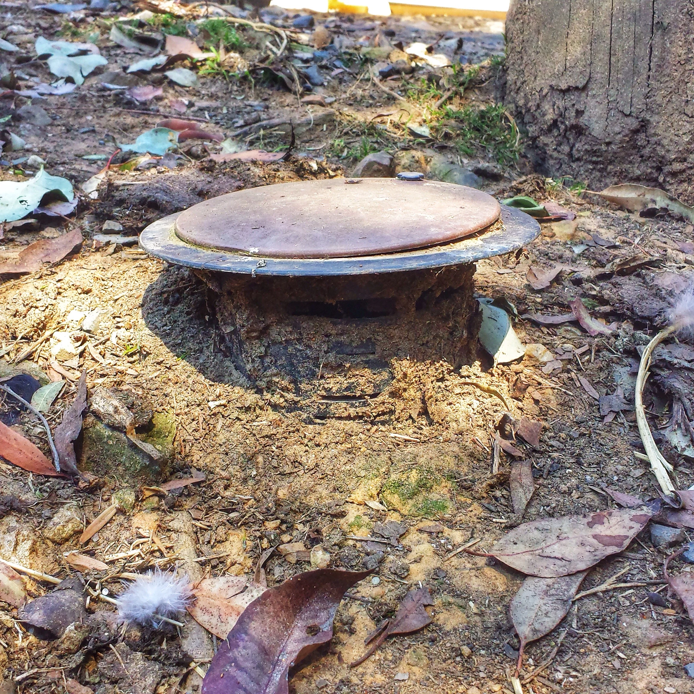 This bait station is far from effective as it is protruding significantly, the top should be flush with ground level.