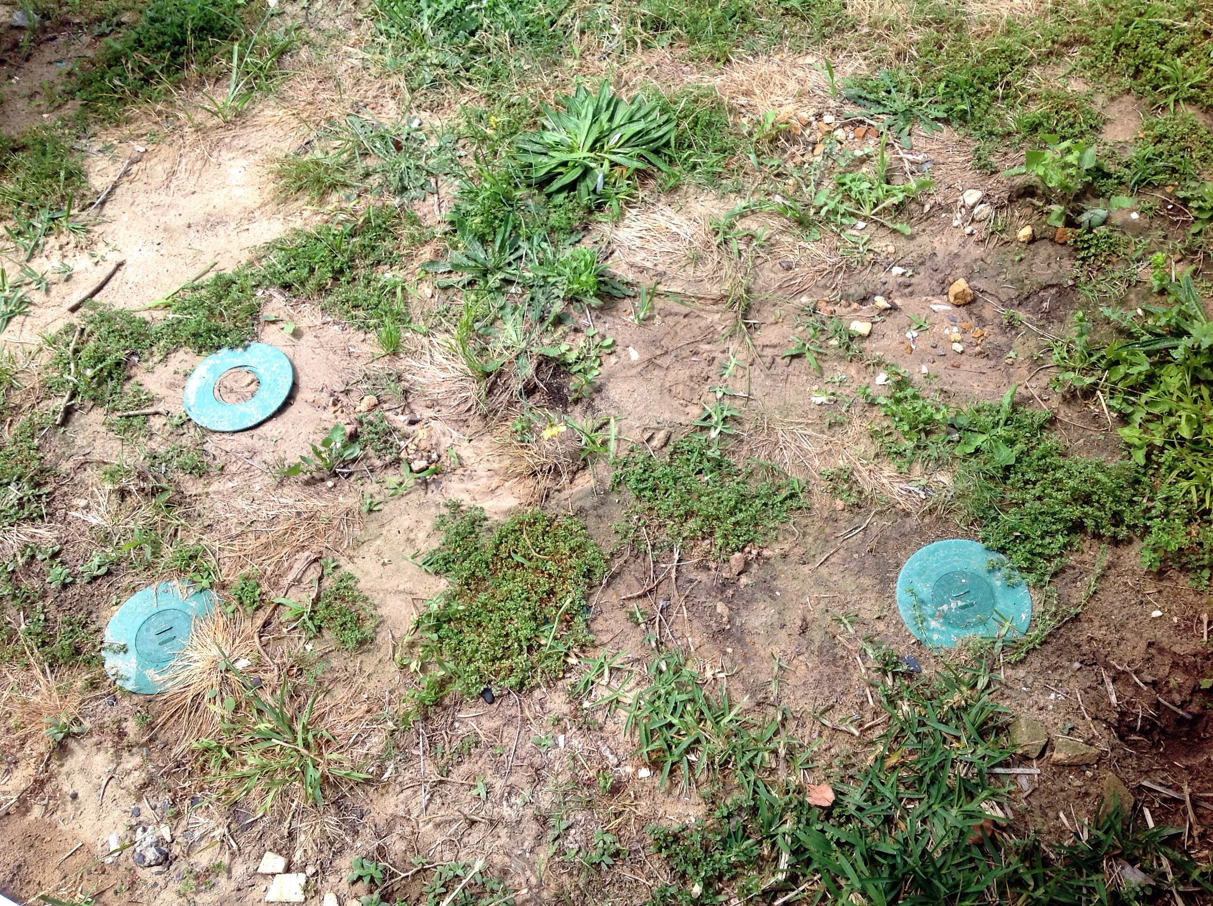 A Sentricon bait station graveyard, these bait stations were monitored for a while but have now been abandoned....