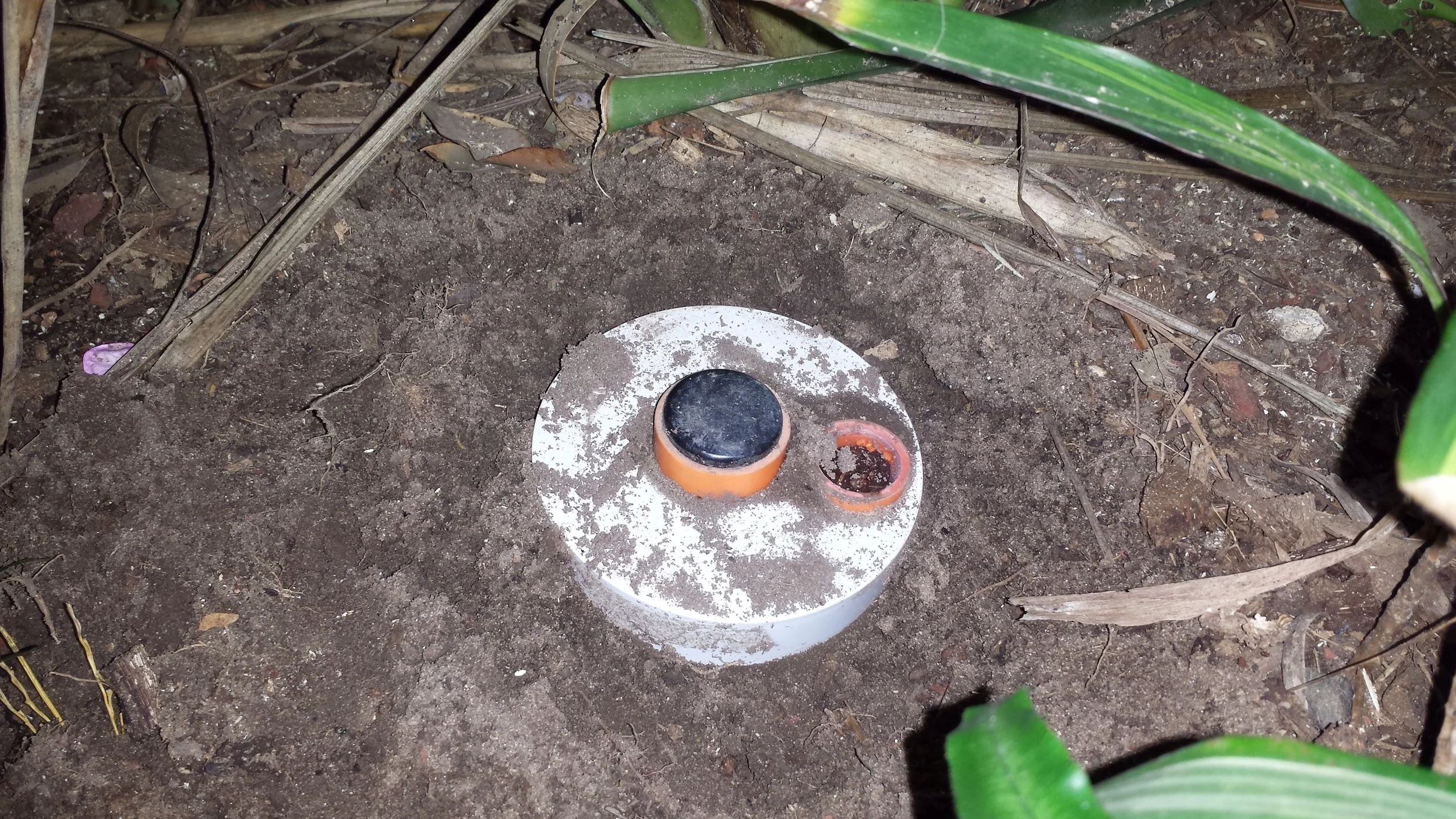 this bait station hadn't been checked for years....