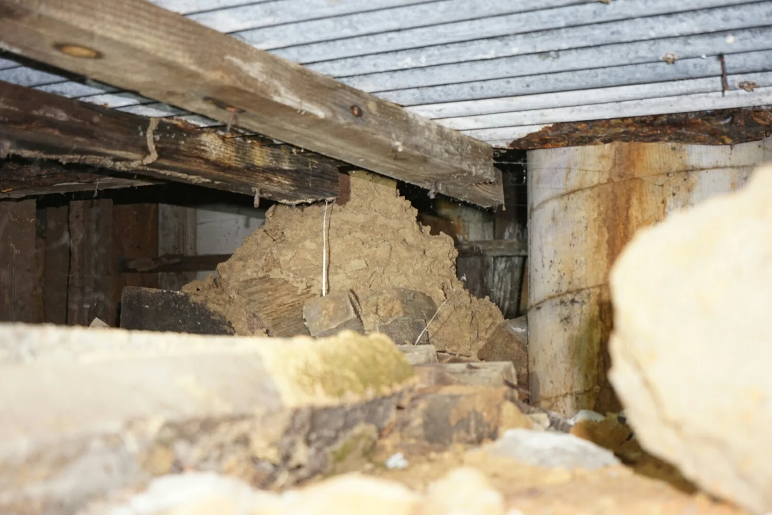 This large entry point for termites may seem obvious, but requires a thorough search in a tight subfloor space to locate. Also, having large amounts of unnecessary timber in the subfloor is just an open invitation for termites. This was discovered in a building where previous inspectors had failed to note the threat to the building.