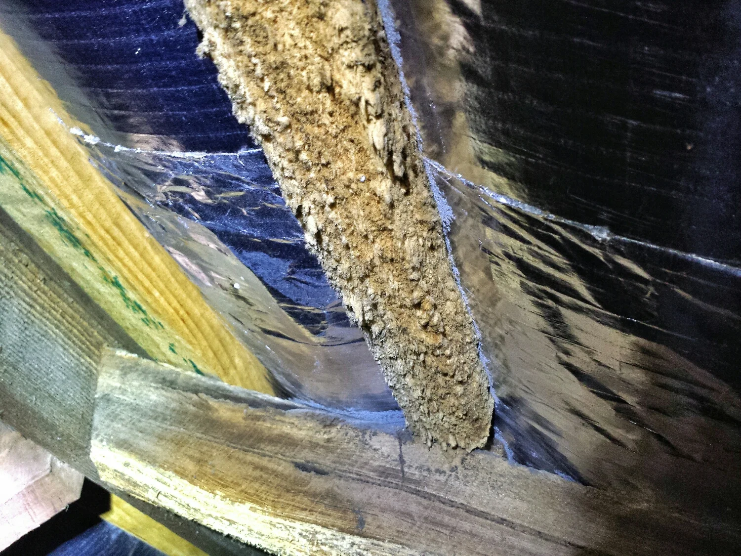 Chemical delignification gives this roof batten its "hairy" appearance.