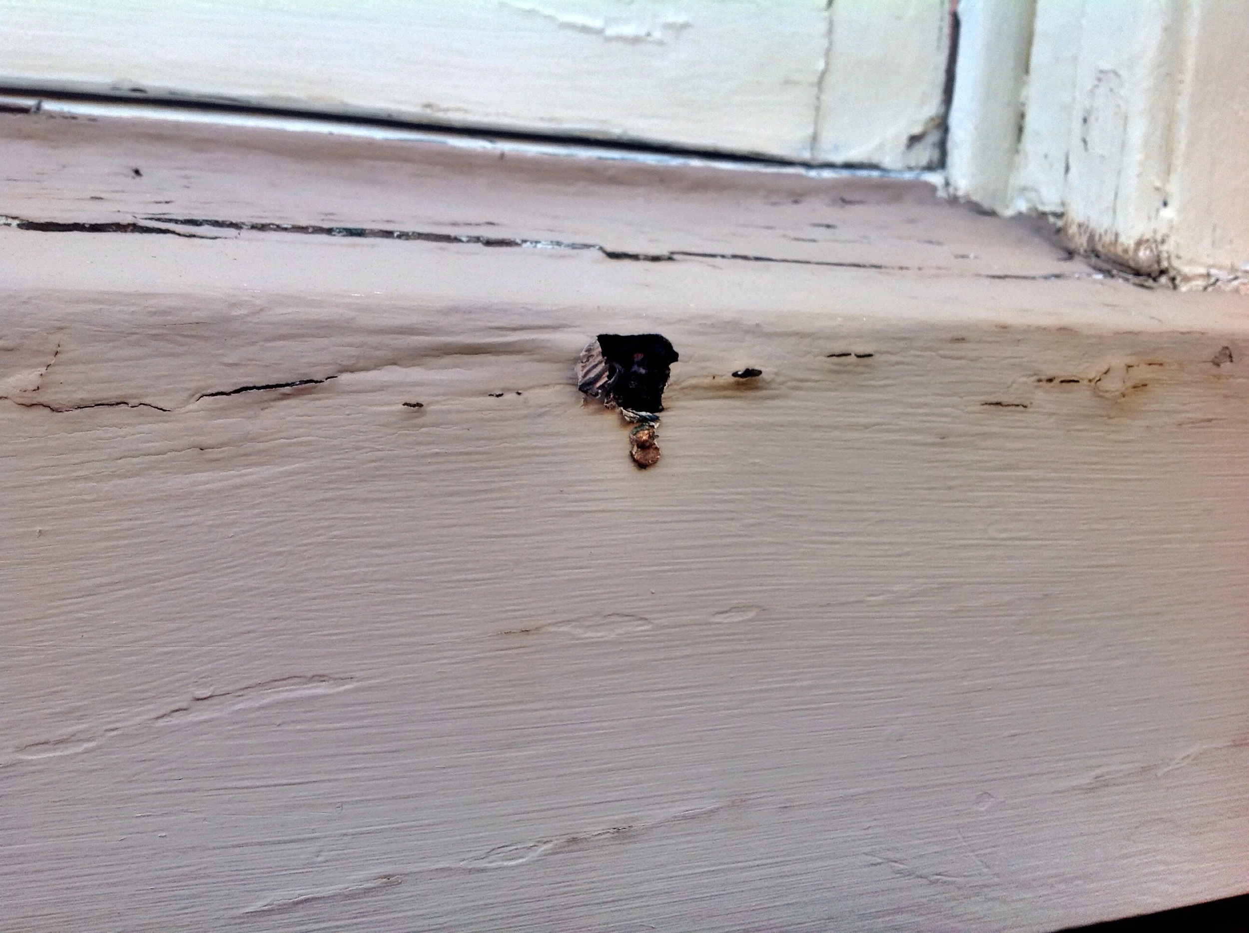 Sometimes damage will look a lot like termite damage, especially on painted surfaces, but in reality is nothing more than fungal decay (wood rot). 