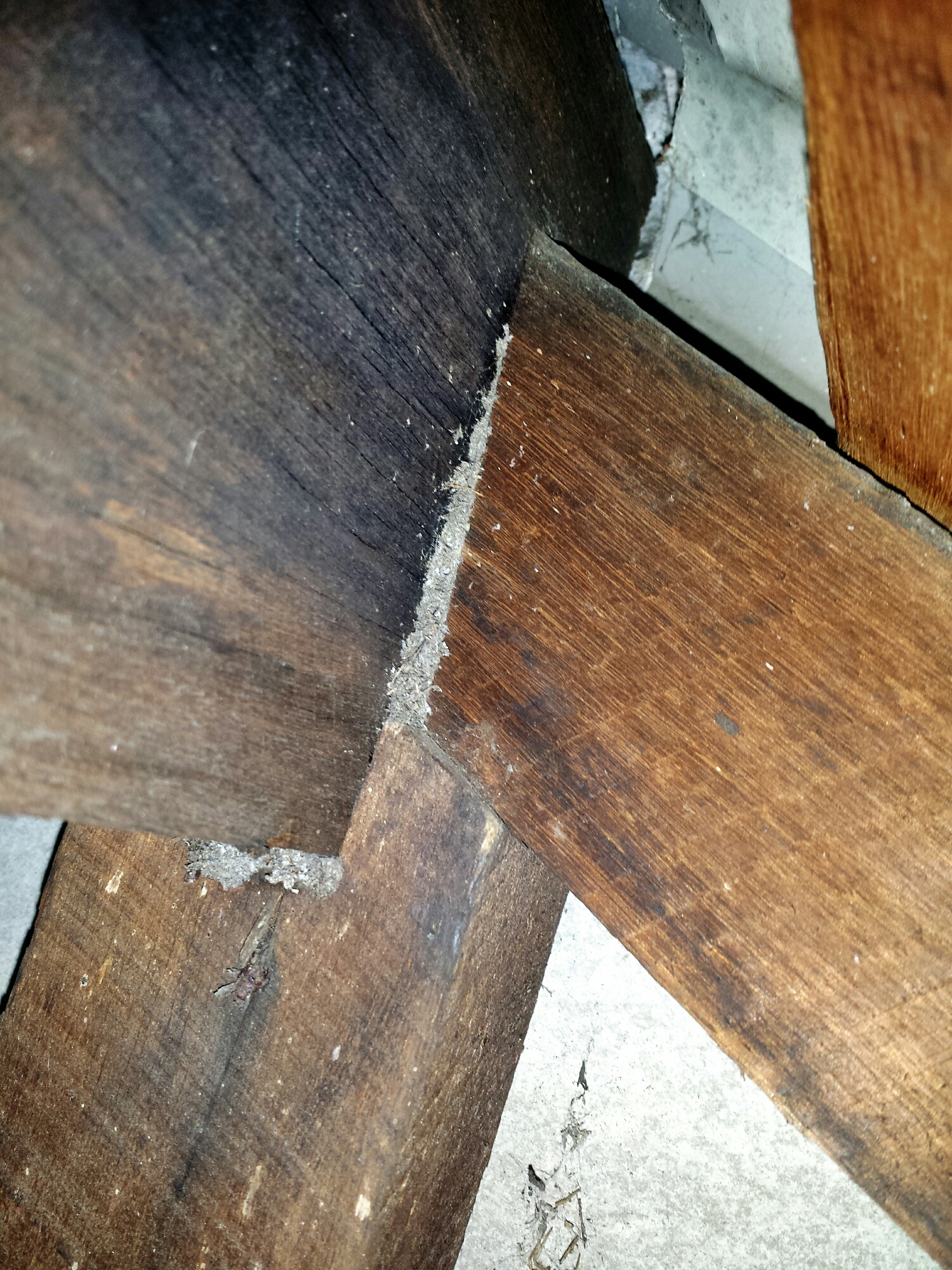 This appeared like evidence of termites at a distance initially, (it was up on the top of a garage). Closer inspection revealed that it was just debris made up of dust, fluff and spiders webs. 