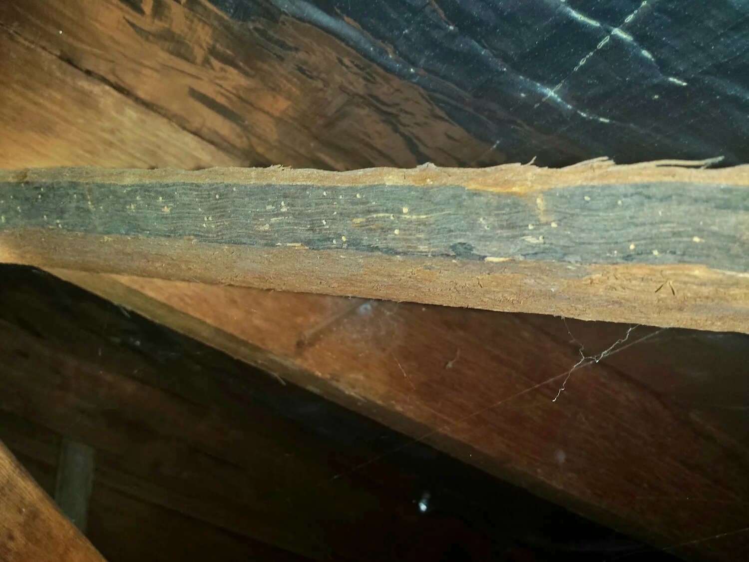 This is a timber brace that had some damage, it was discovered in a roof void during a termite inspection.