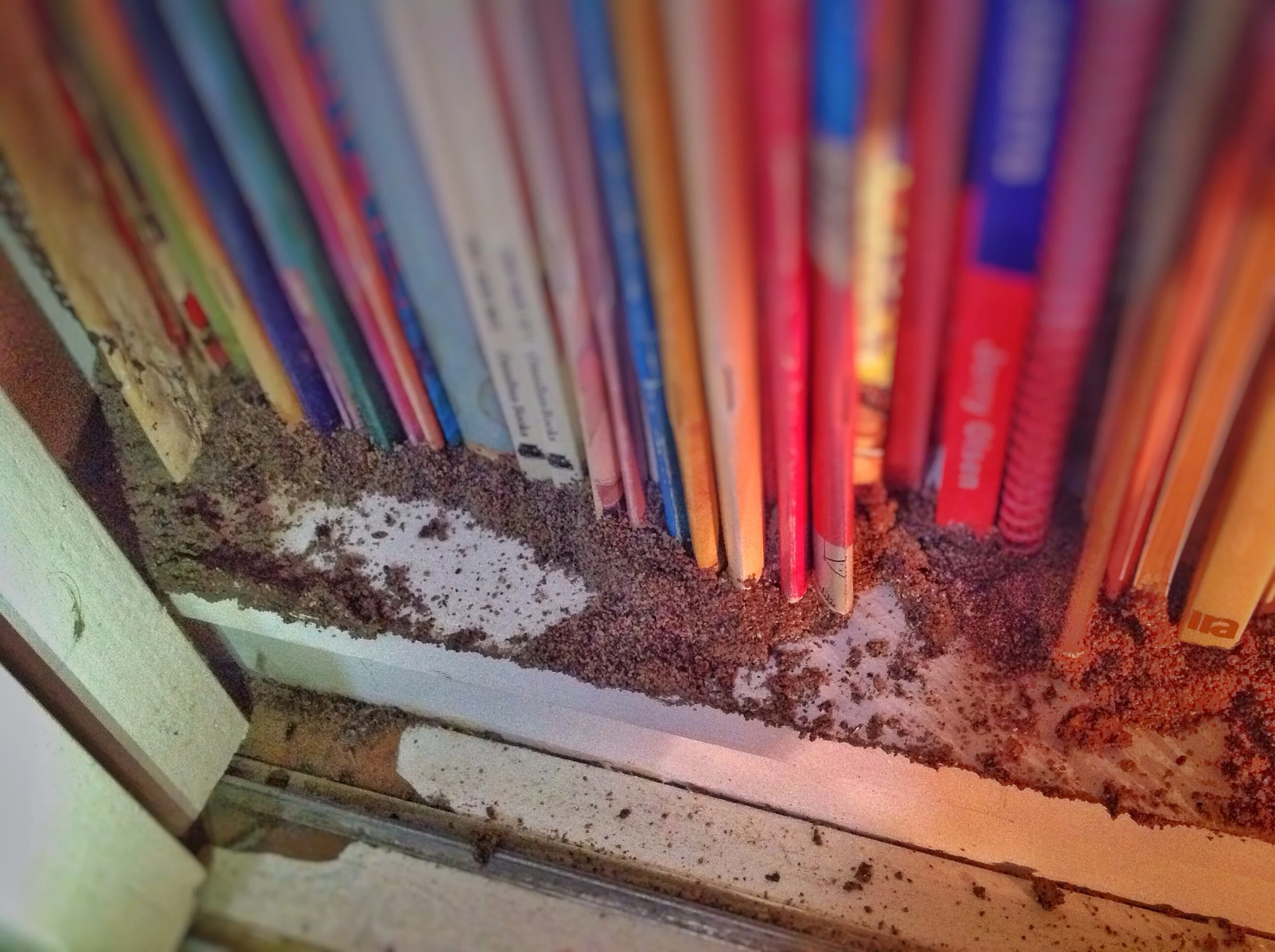 The termites came up through the bottom of the cupboard, foraging along the bottom of the books and eating the ones they fancied!