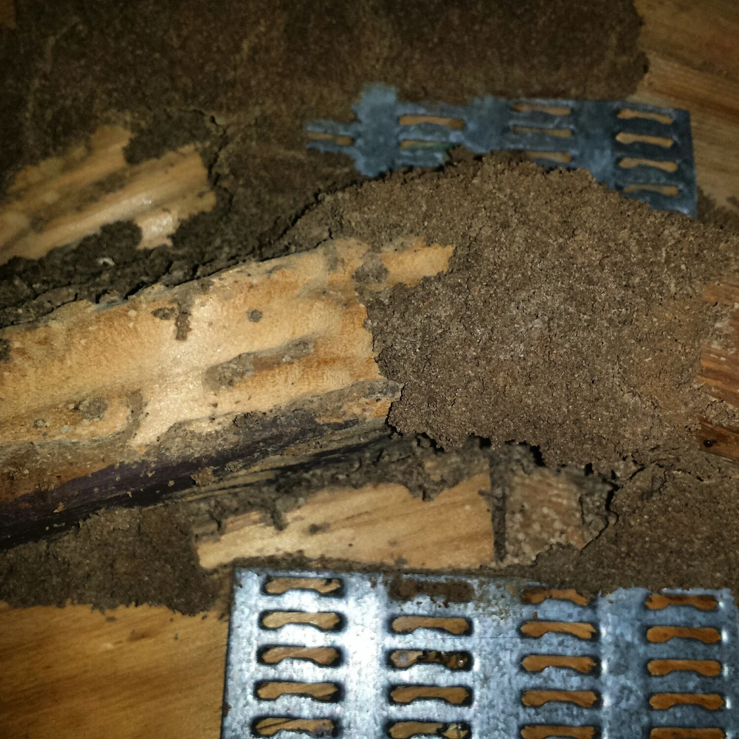 The damage found in the roof truss was found at the furthest point away from the manhole!