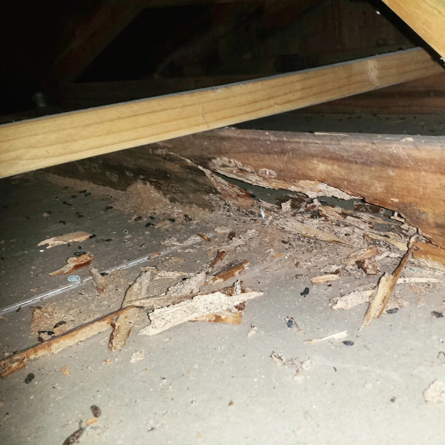 This damage cannot be easily found until an adventurous inspector goes on the hunt!