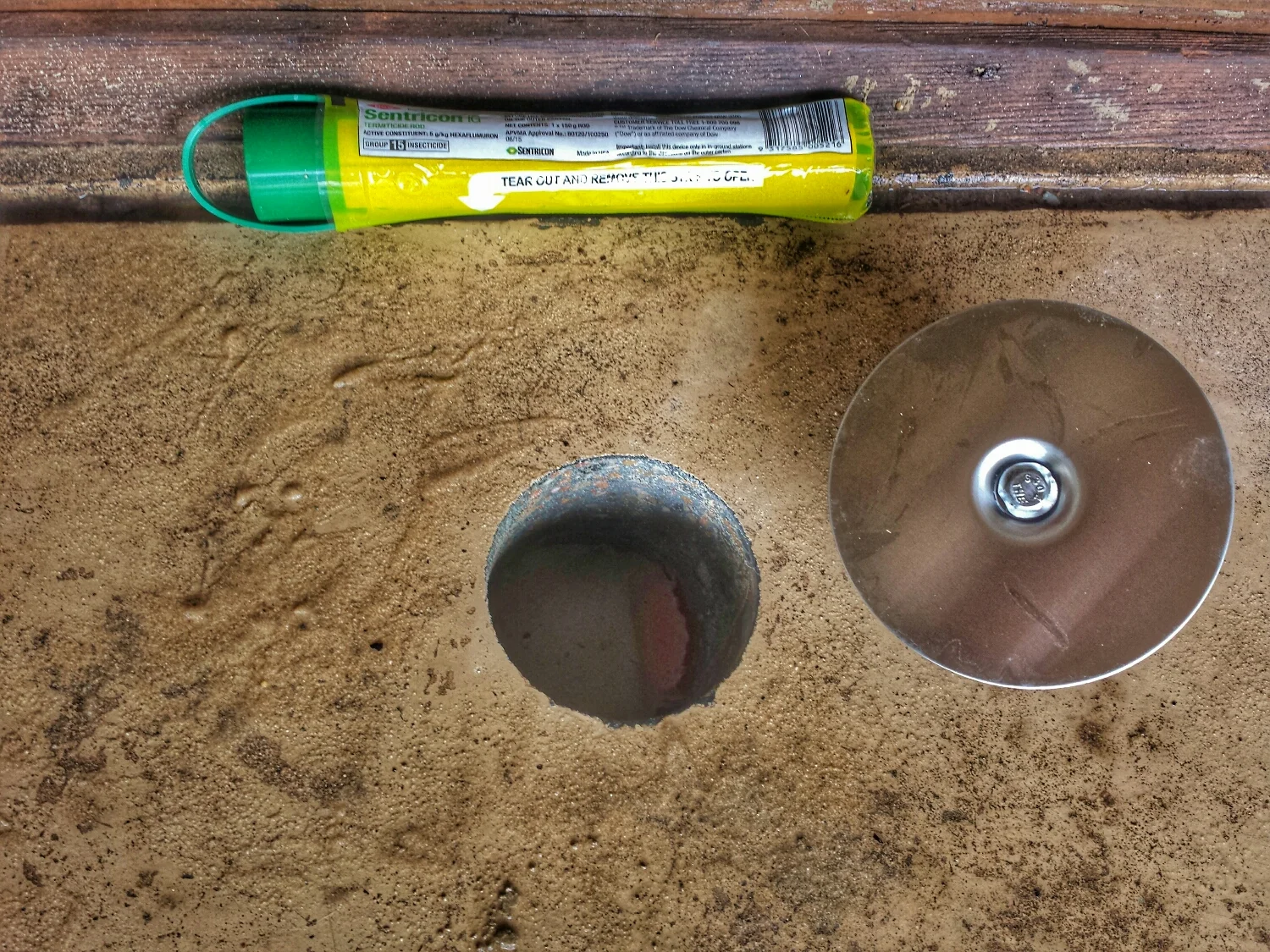 An in concrete baiting system ready to go!