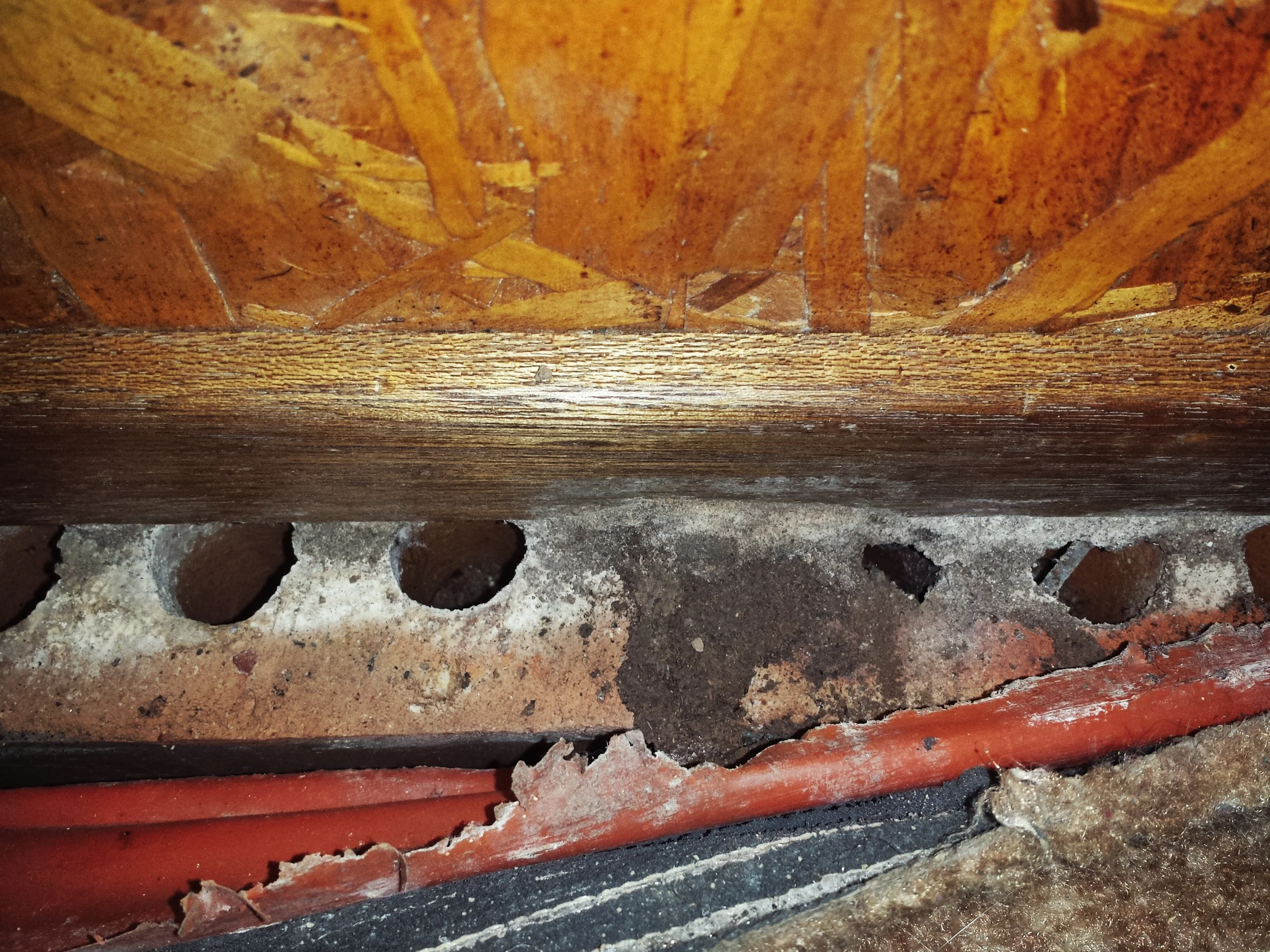 You can clearly see the mud tube the termites built to get into the wall of this home! The wall was built on a course of bricks which gave the termites easy access to the timber.