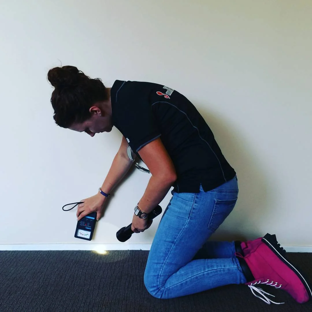 Performing a visual inspection - testing timber moisture.