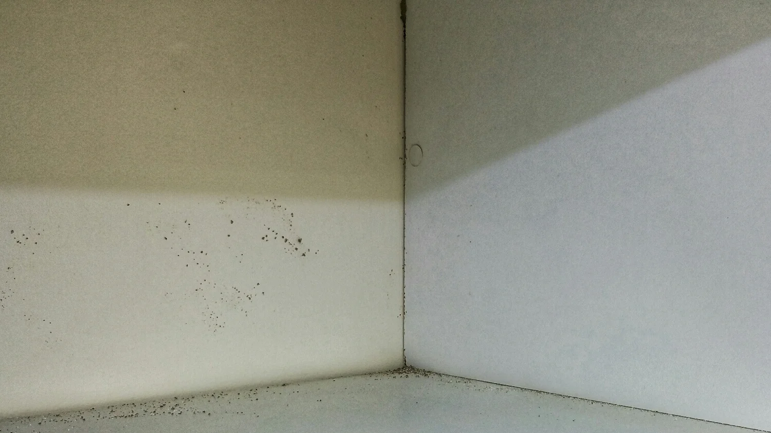 Inside this built in wardrobe you can see evidence of termite workings. There is a tiny bit of mud right in the middle of the corner at the top and spots of mud/mould is visible on the Left Hand side. This is a clear indication of termite activity behind the walls.