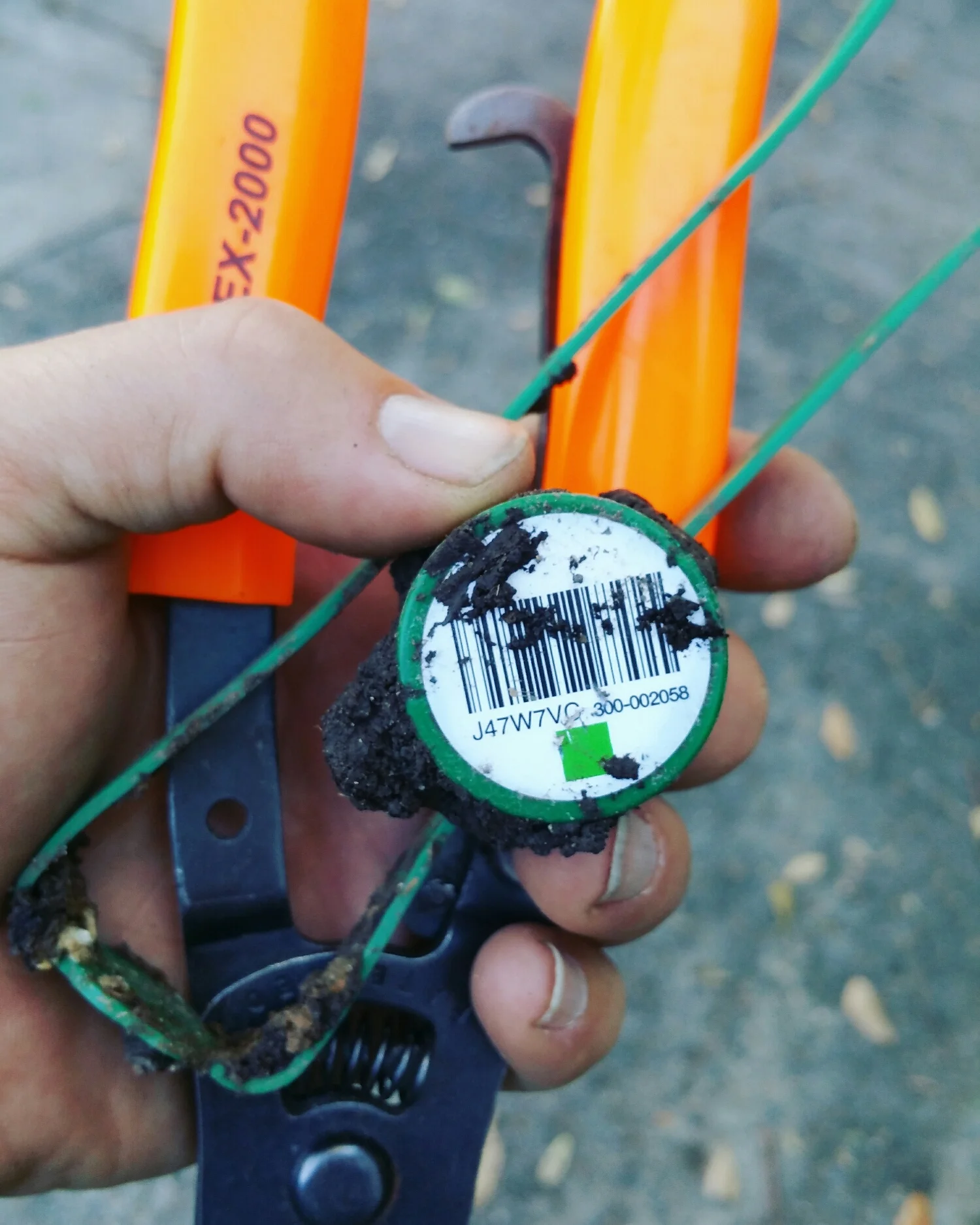 A Sentricon rod completely eaten out not long after the system was installed.