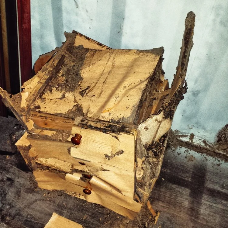 Termite Damage - Drawers in a Shipping container.
