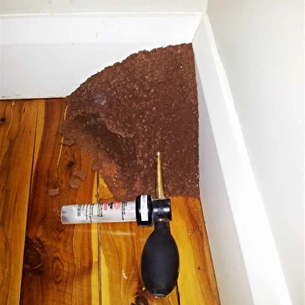 Dusting Termites with Termidor