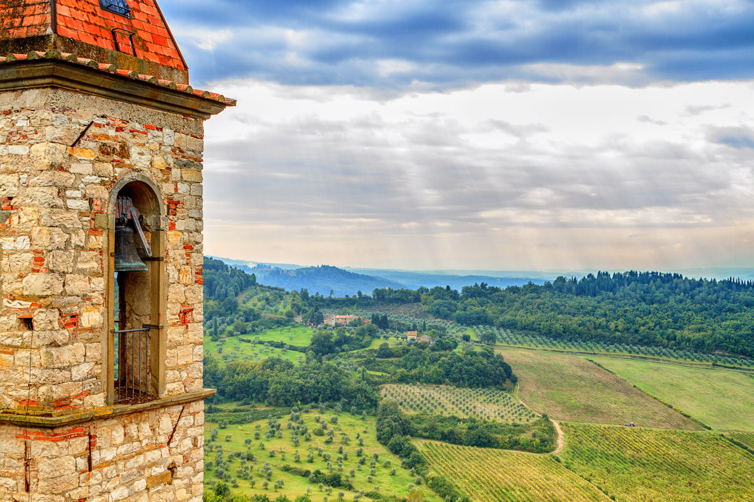 Vineyards at Castello di Nipozzano