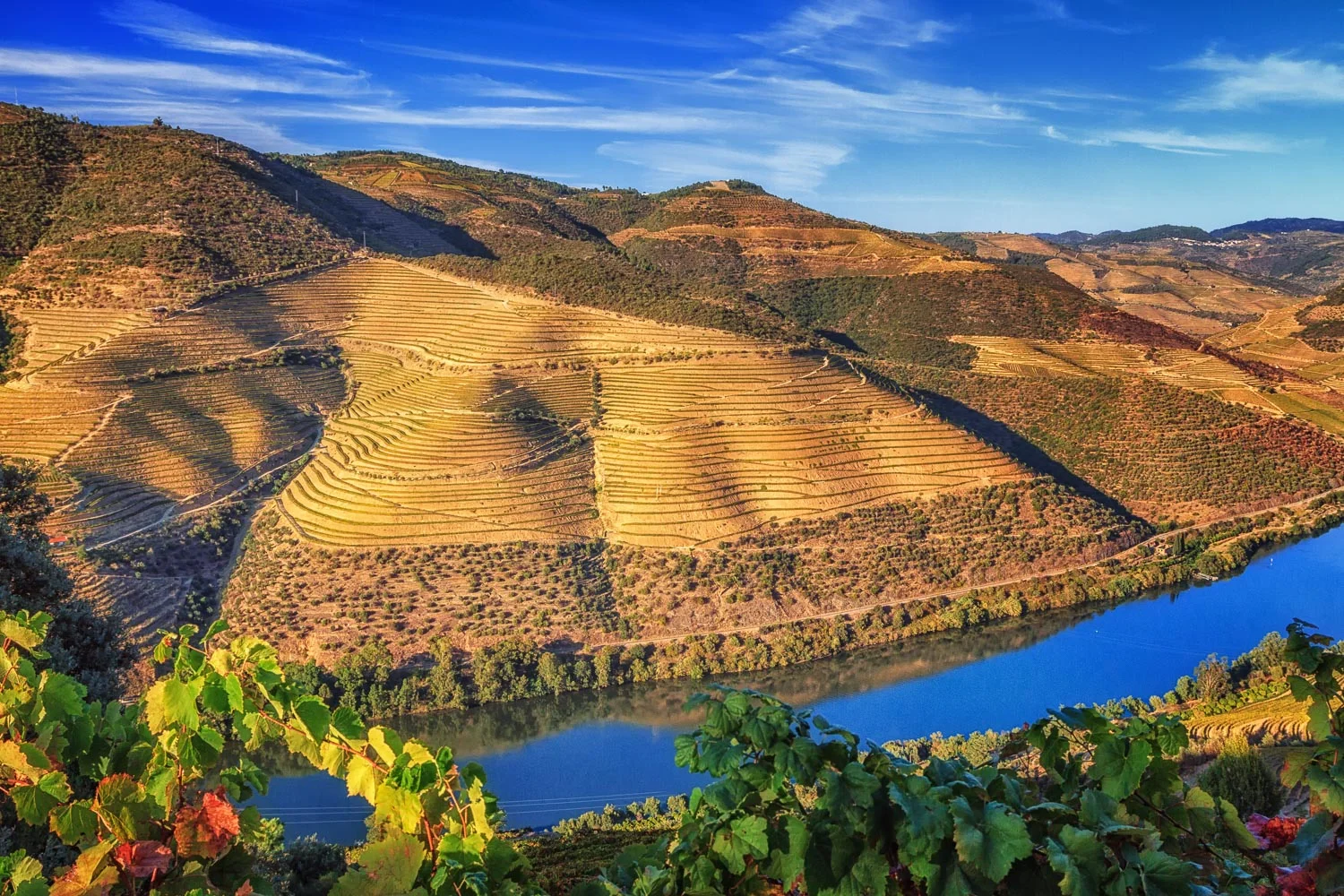 The Douro Near Sunset