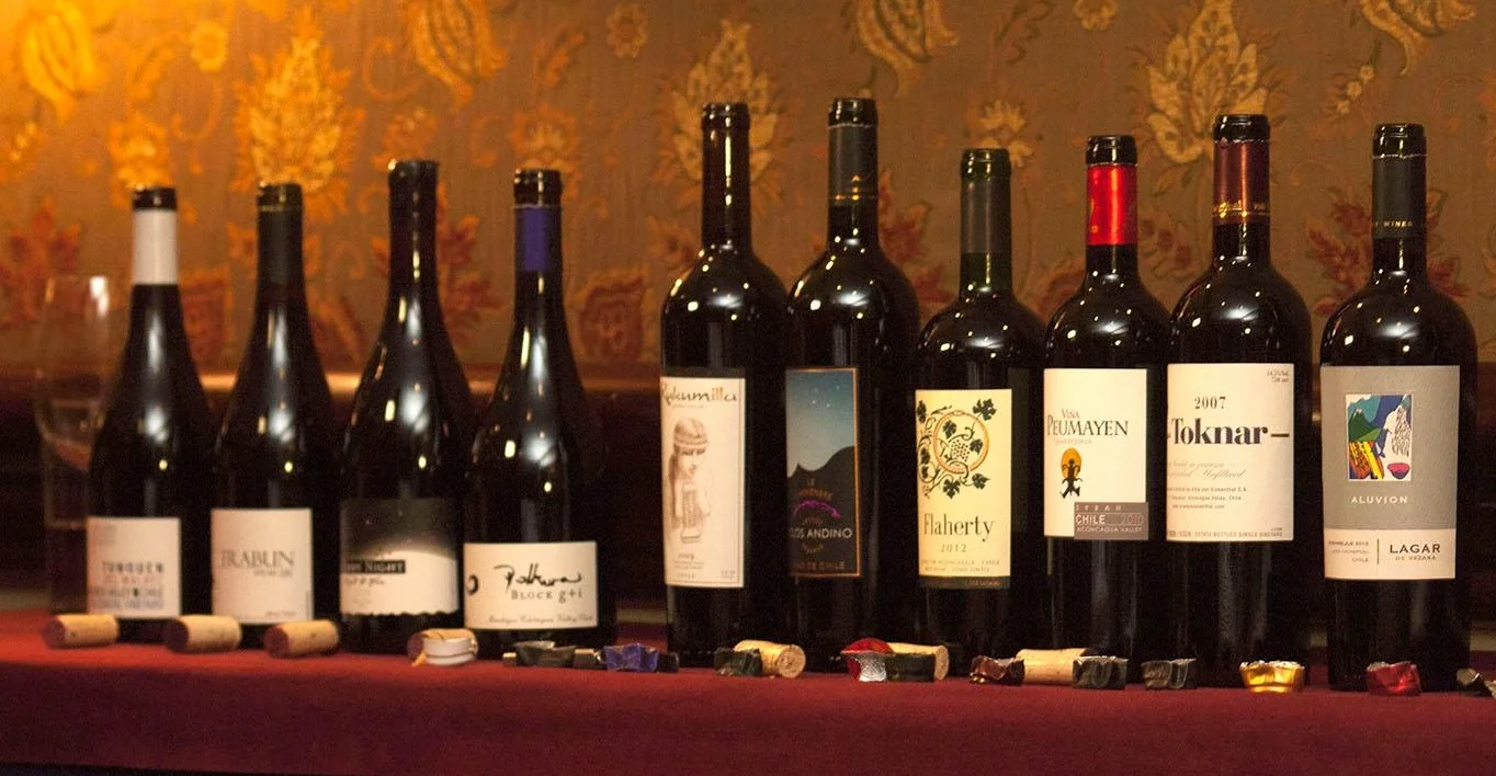 MOVI and the Renewal of Chile