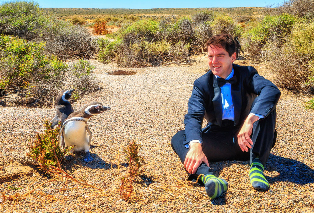 The Penguin Suit