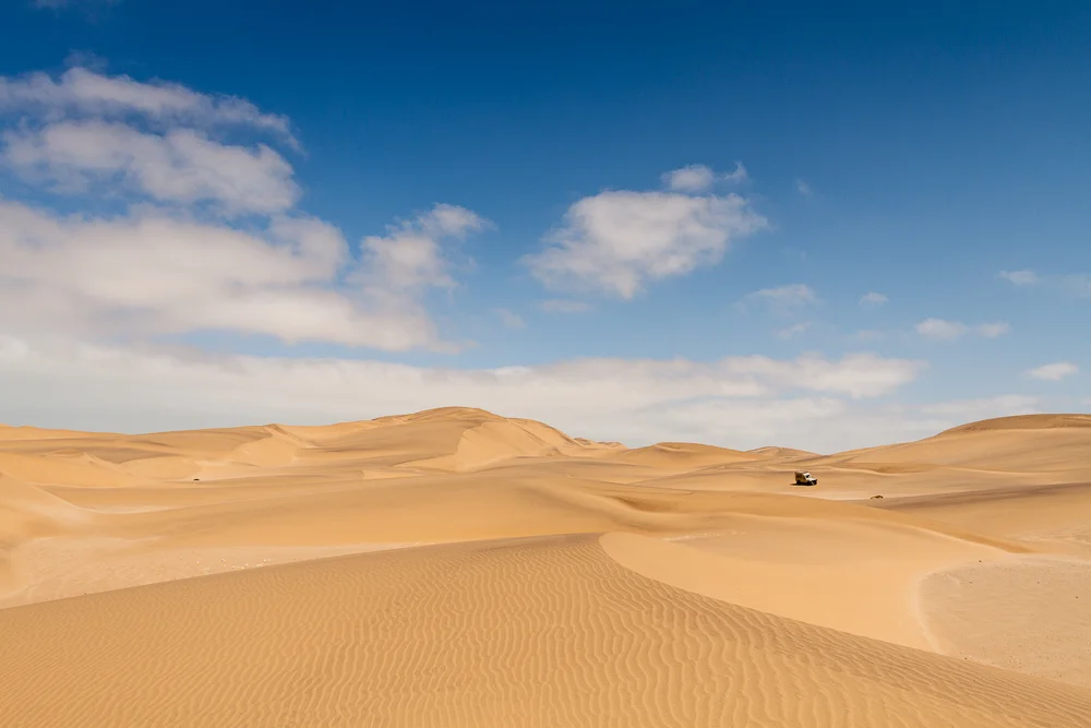 A Rover in the Distance