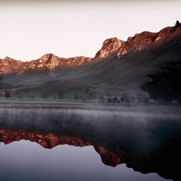 Tasting New Zealand