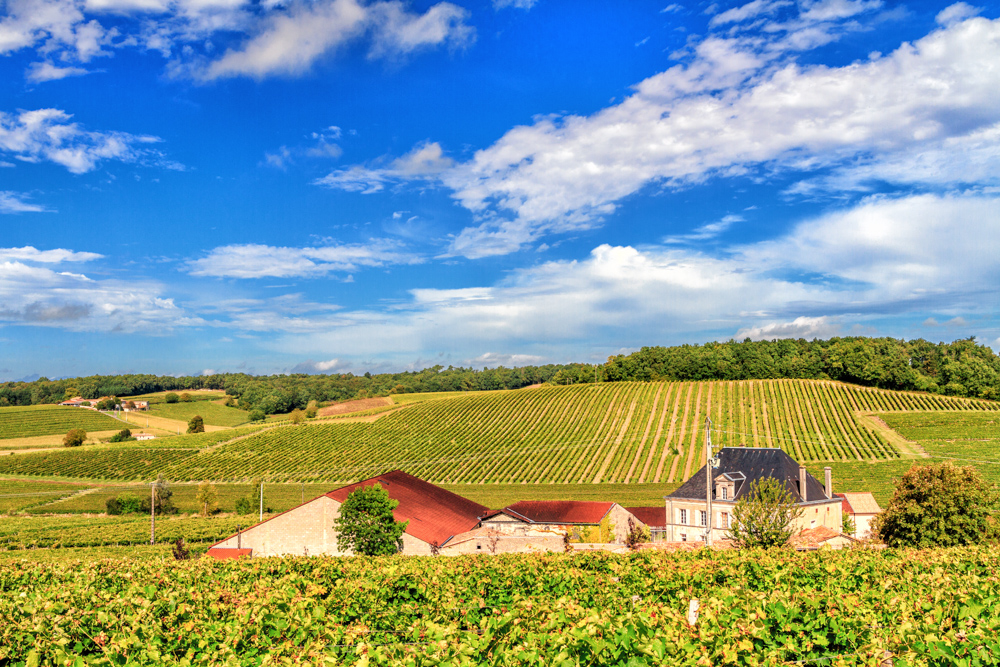 Grande Champagne Vista
