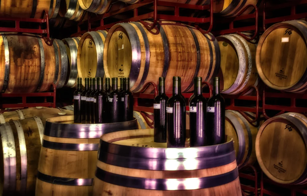 In the cellars of cariñena