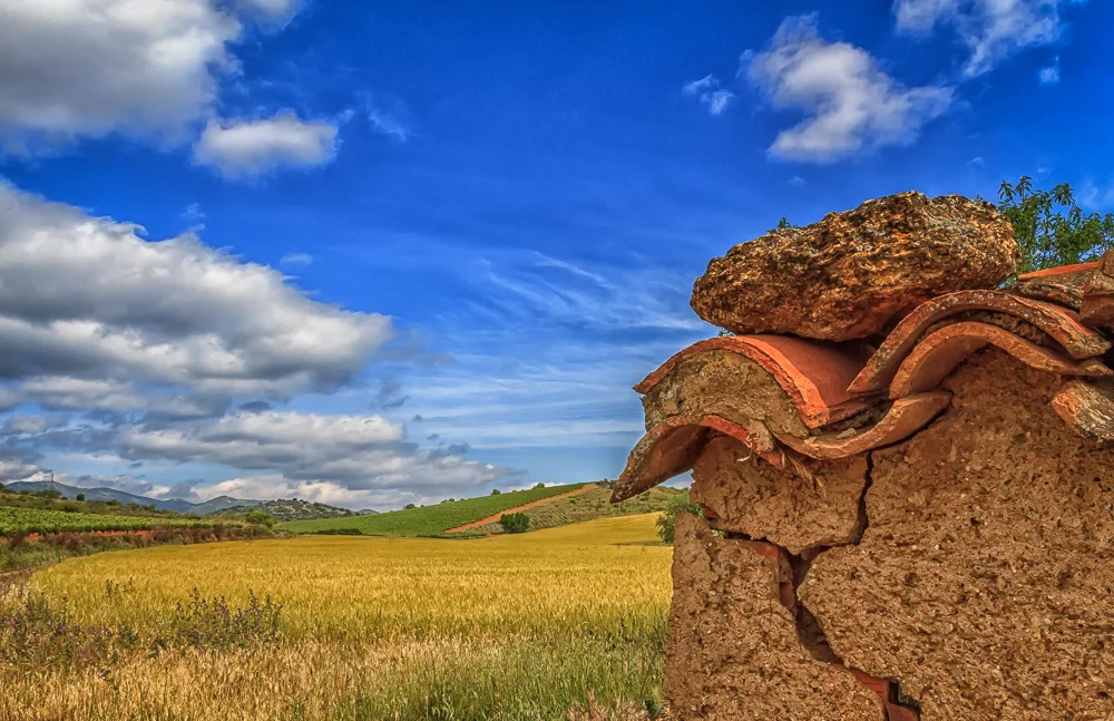 Rolling countryside in Cariñena &nbsp;(c) Lyn Farmer all rights reserved