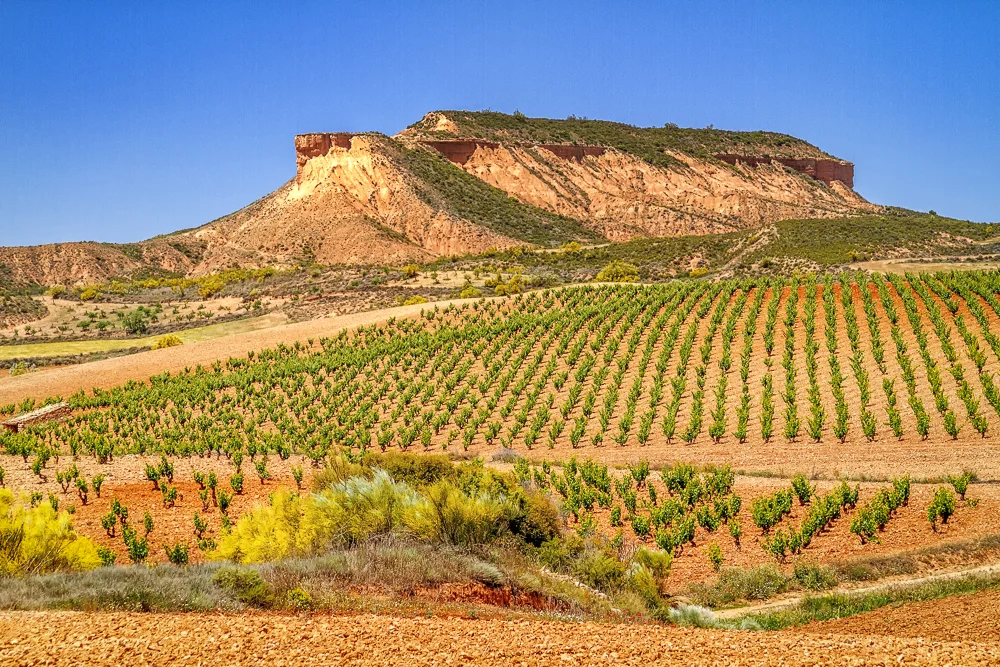 Cariñena countryside