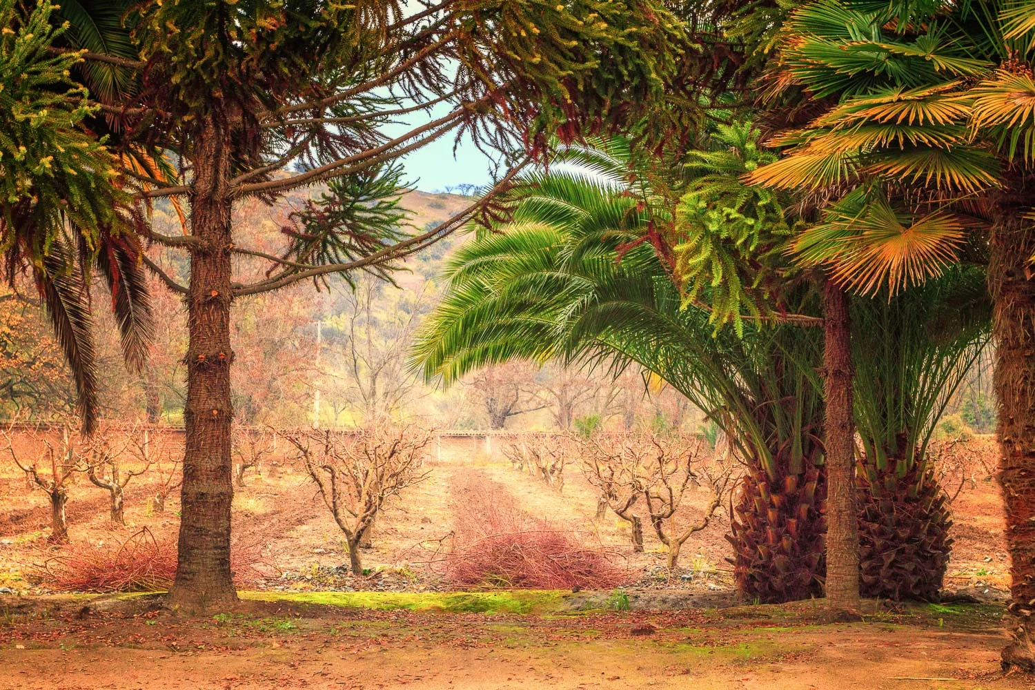 Thirsty in the Wine Bar War Zone