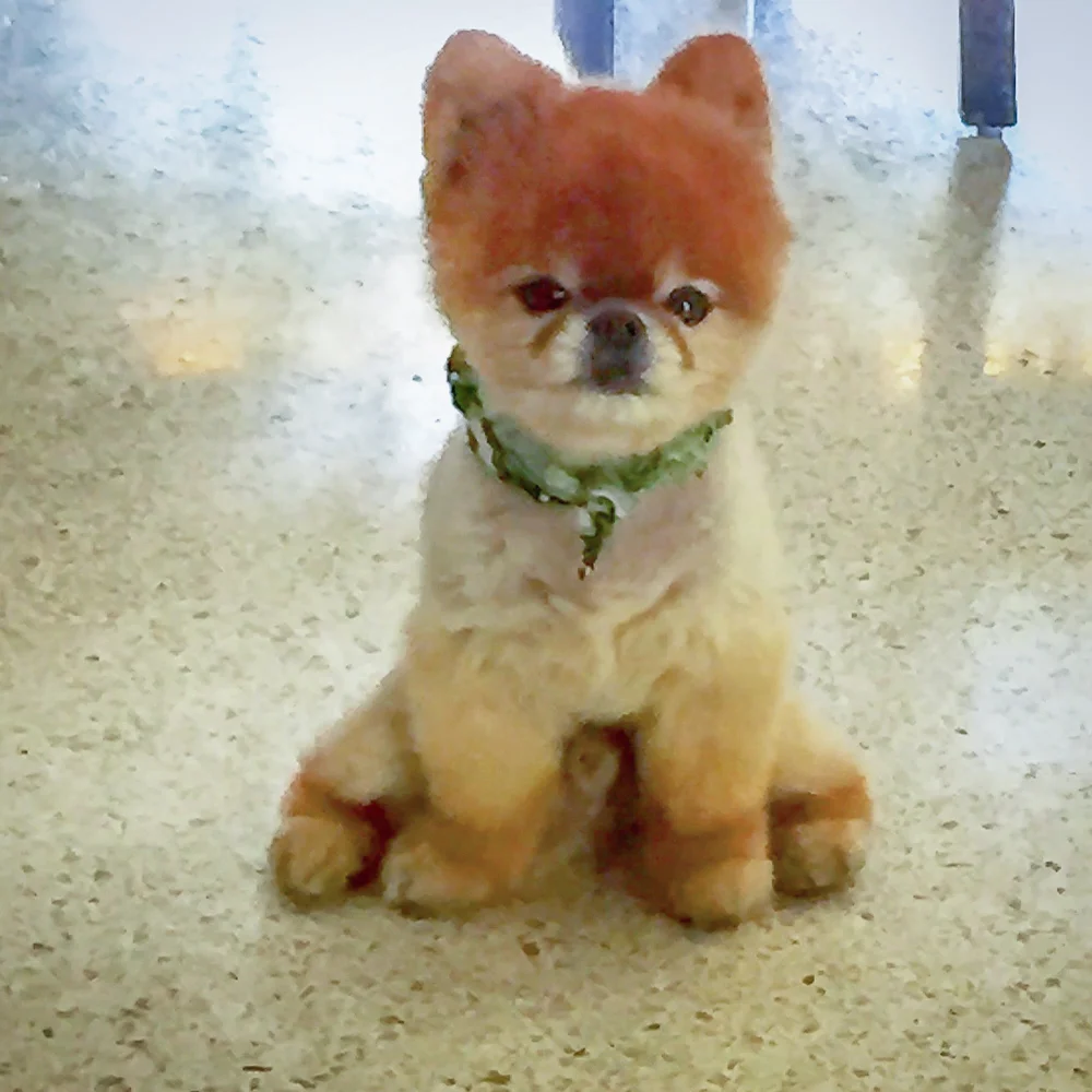 Saluting One True King