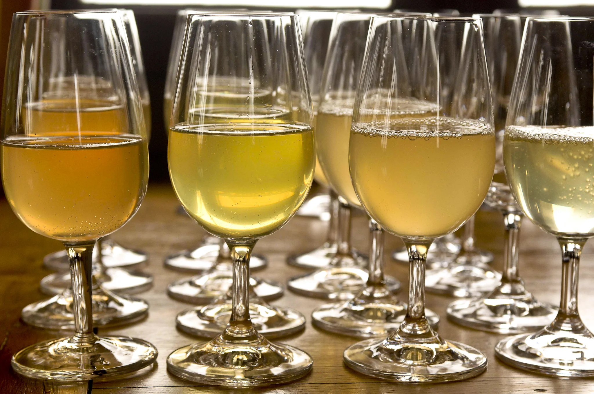 "Vins Claires," the still wines that will be blended then mixed with sugar and yeast for a second fermentation to make Champagne