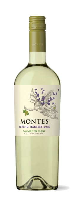 Sauvignon-Nouveau from Chile's Leyda Valley (Photo: Viñas Montes)
