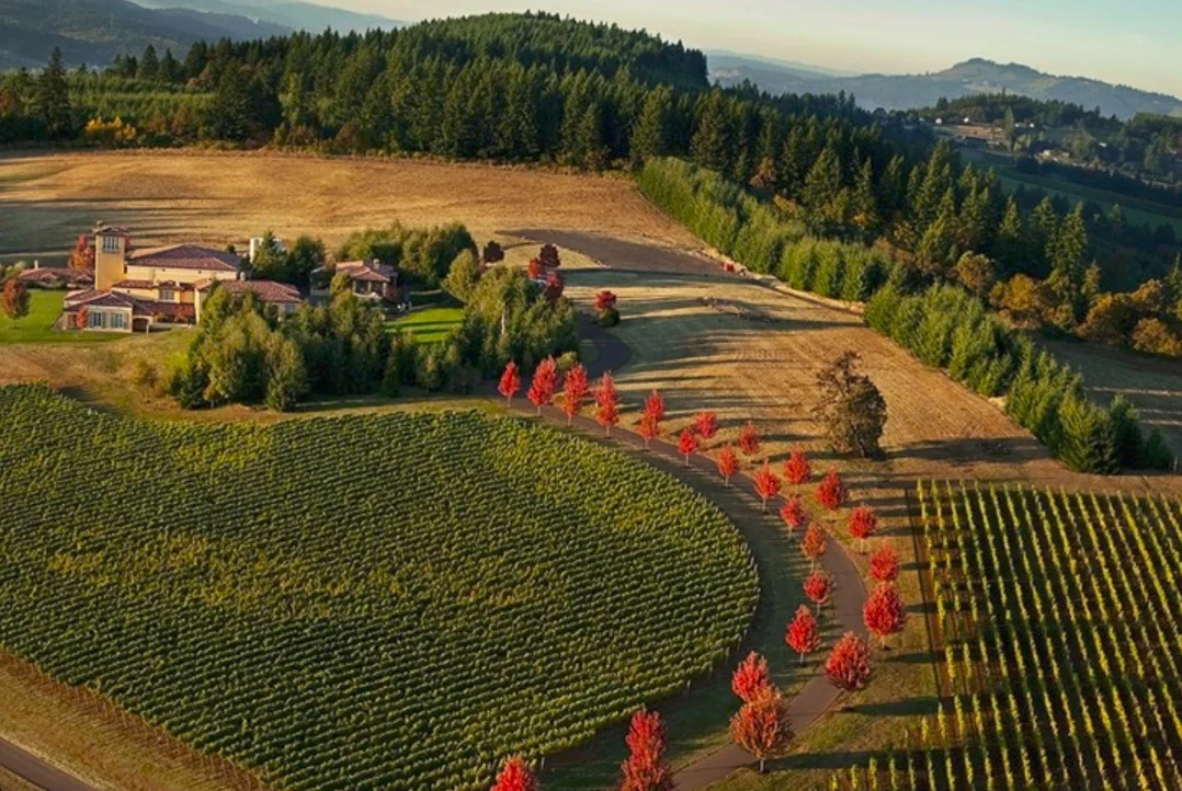 Domaine Serene's Winery Hill vineyard, surrounding its namesake facilty. (Photo: Domaine Serene)