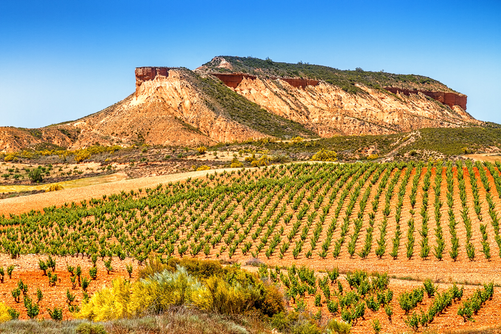Seeing Red