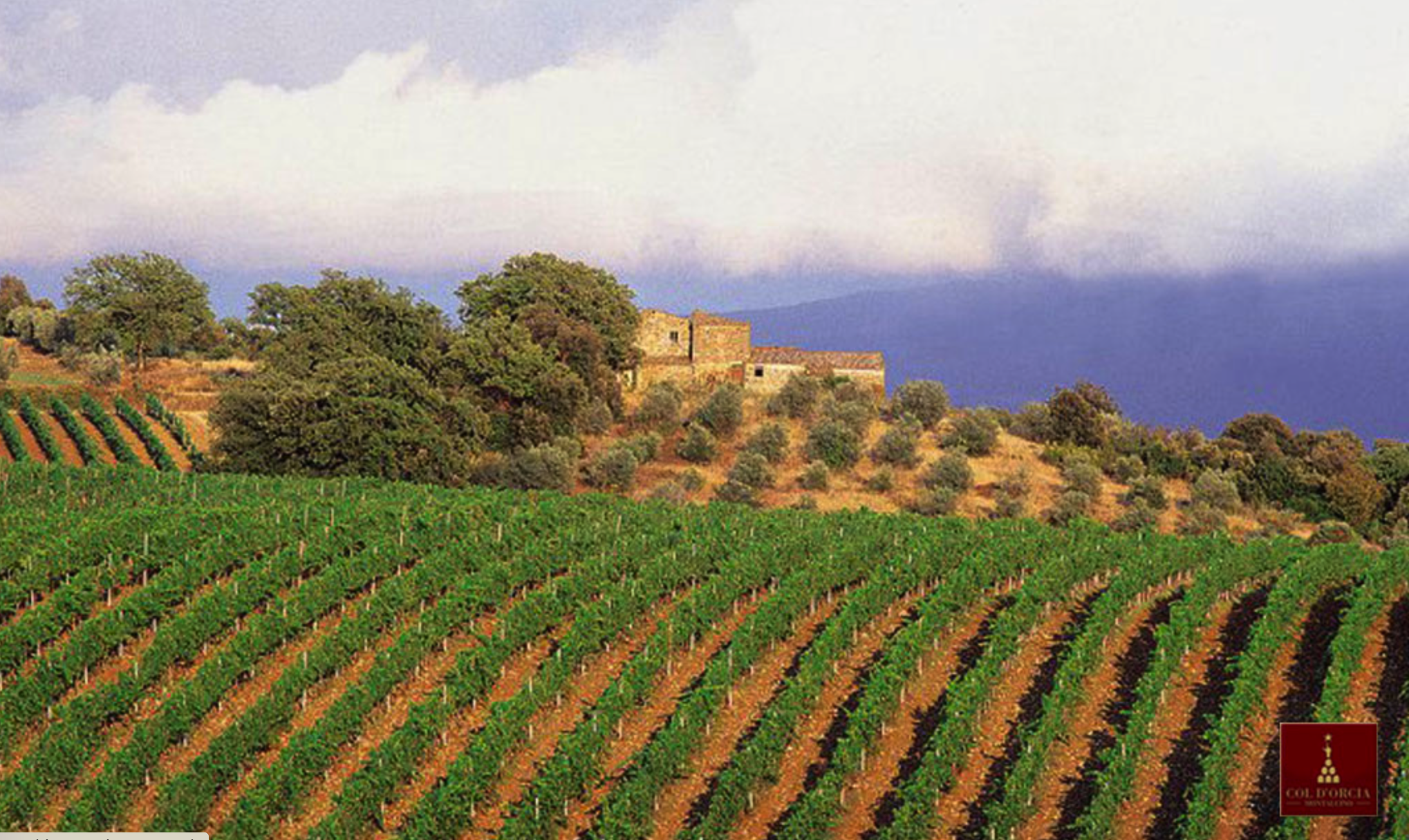 Benvenuto Brunello!