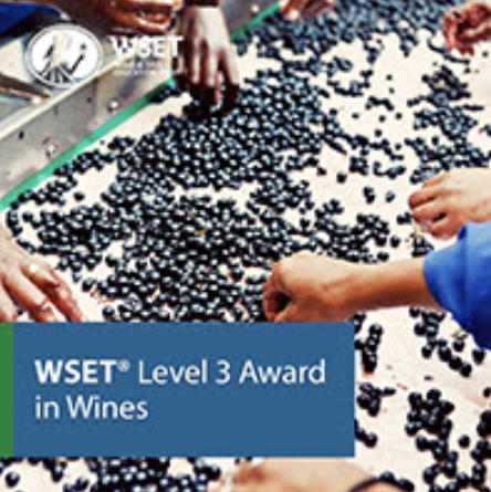 2025 Hybrid WSET Level Three Course in Miami