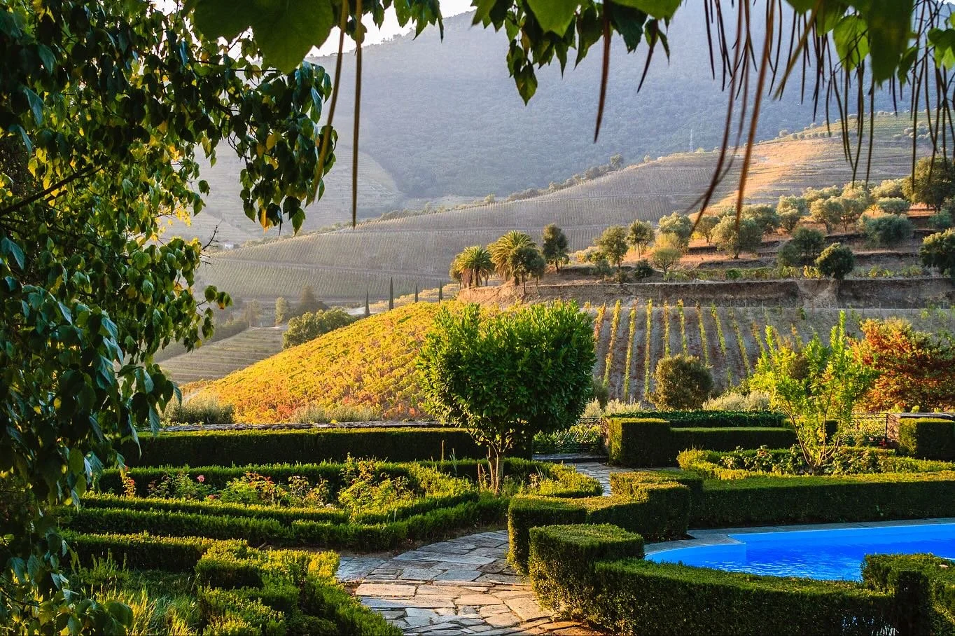 This is Quinta Bom Retiro, the home of Ramos Pinto, makers of exceptional Ports and also dry Douro table wines. I took this picture as the sun rose on a chilly October morning after having trod grapes in the lagars the night before. And now I welcome