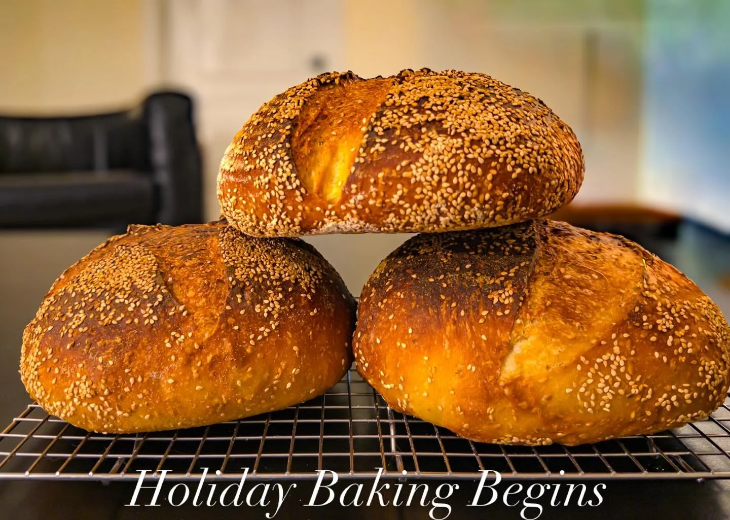 Let the baking begin - Golden Durum Sesame loaves (thanks Jeffrey at @kingarthurbaking for the recipe!). Next up sourdough Cinnamon rolls, plum pudding, more cookies than I can count (and more than I should eat). Here&rsquo;s to a tasty holiday seaso